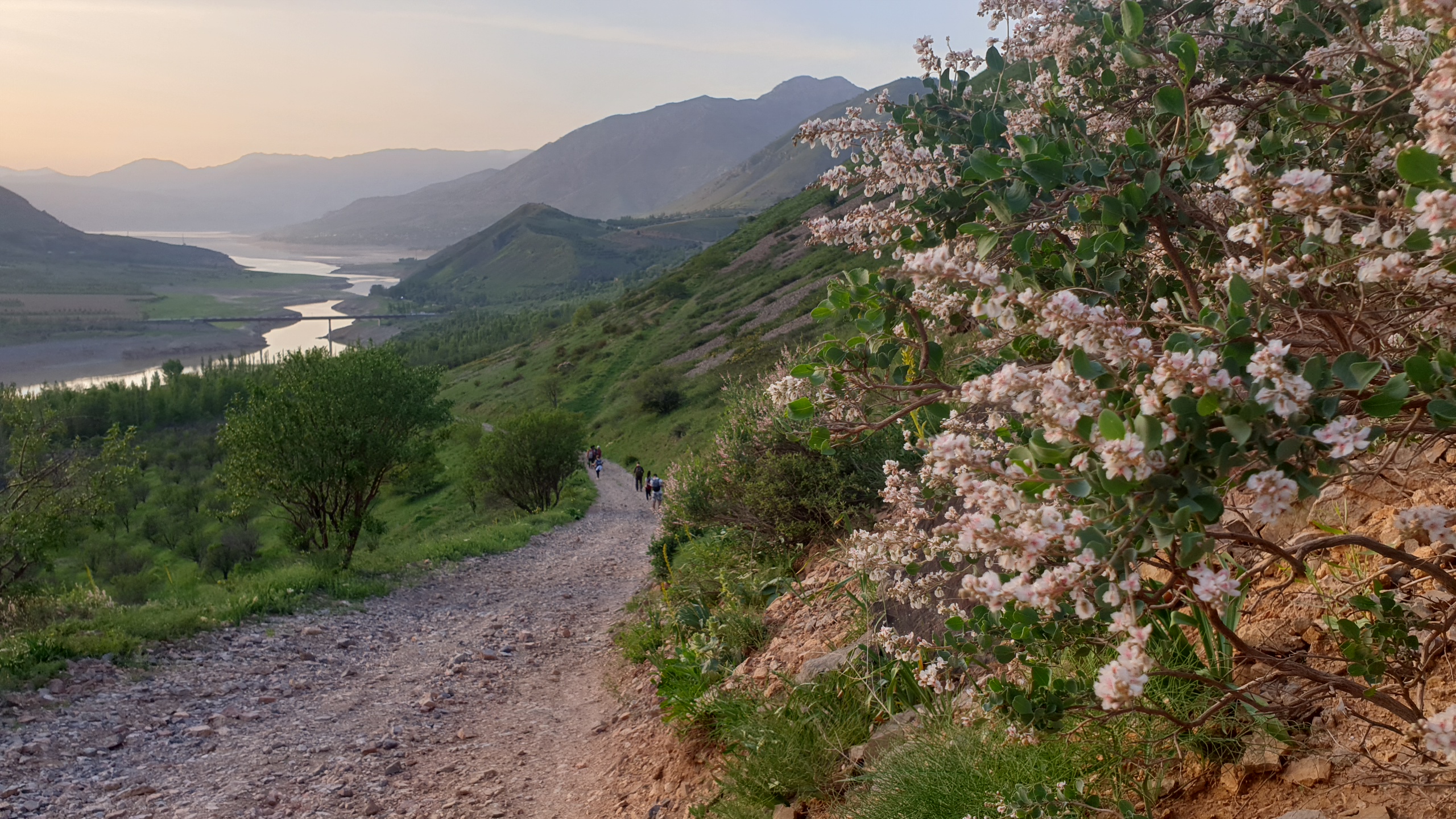 Летний тур Чимган-Ташкент-Самарканд-Бухара и озеро Тудакуль