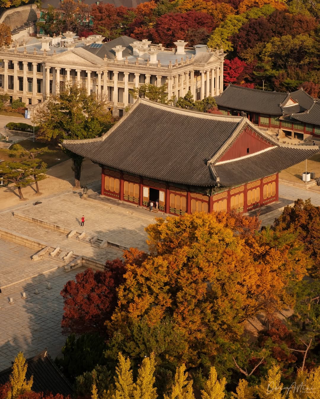 Южная Корея - Vip тур на Корейский Новый Год Seollal и Шоппинг на Korea Grand Sale. (50/72)