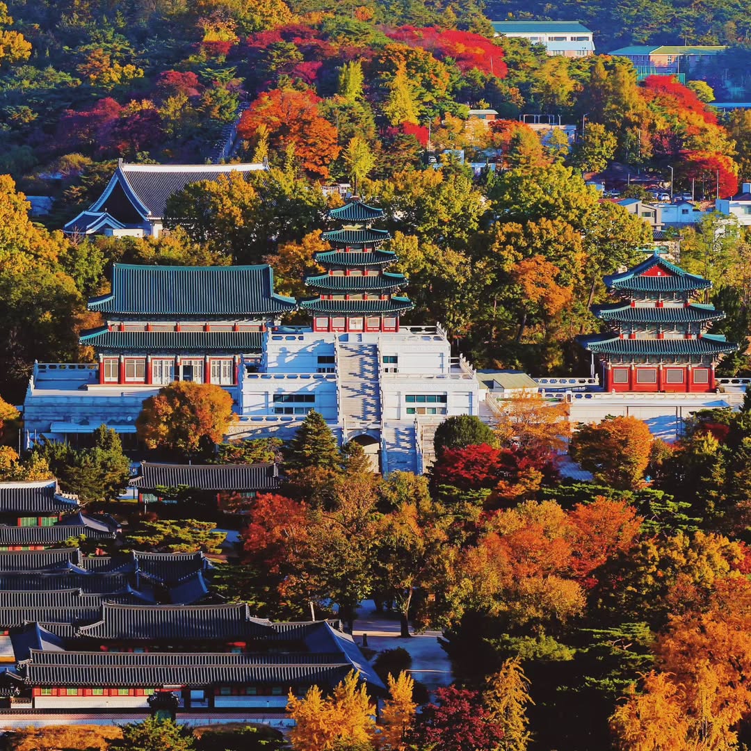 Южная Корея - Vip тур на Корейский Новый Год Seollal и Шоппинг на Korea Grand Sale. (29/72)