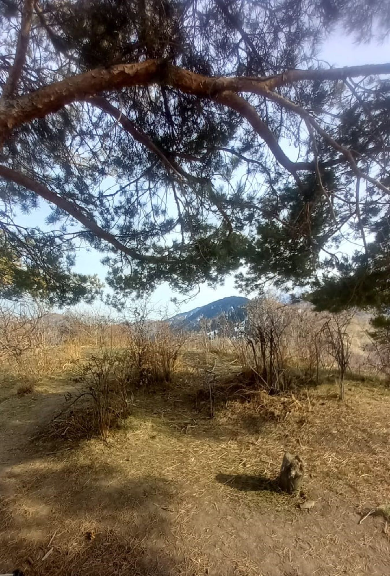 Треккинг: По тропам Каракунгей — к вершине Слониха (10/16)