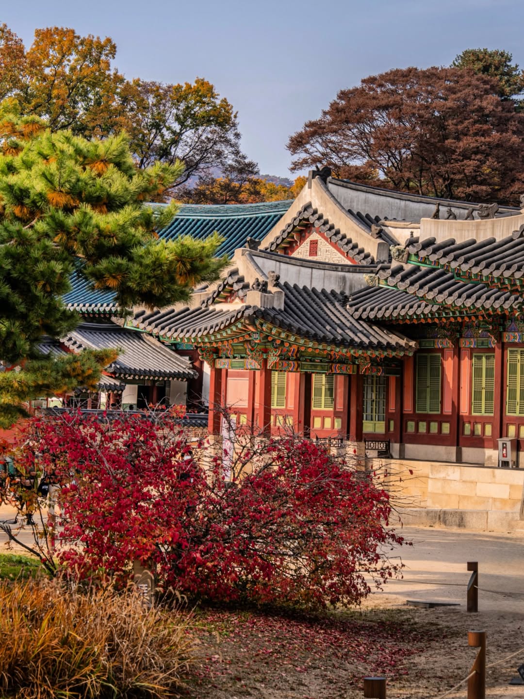 Южная Корея - Vip тур на Корейский Новый Год Seollal и Шоппинг на Korea Grand Sale. (20/72)