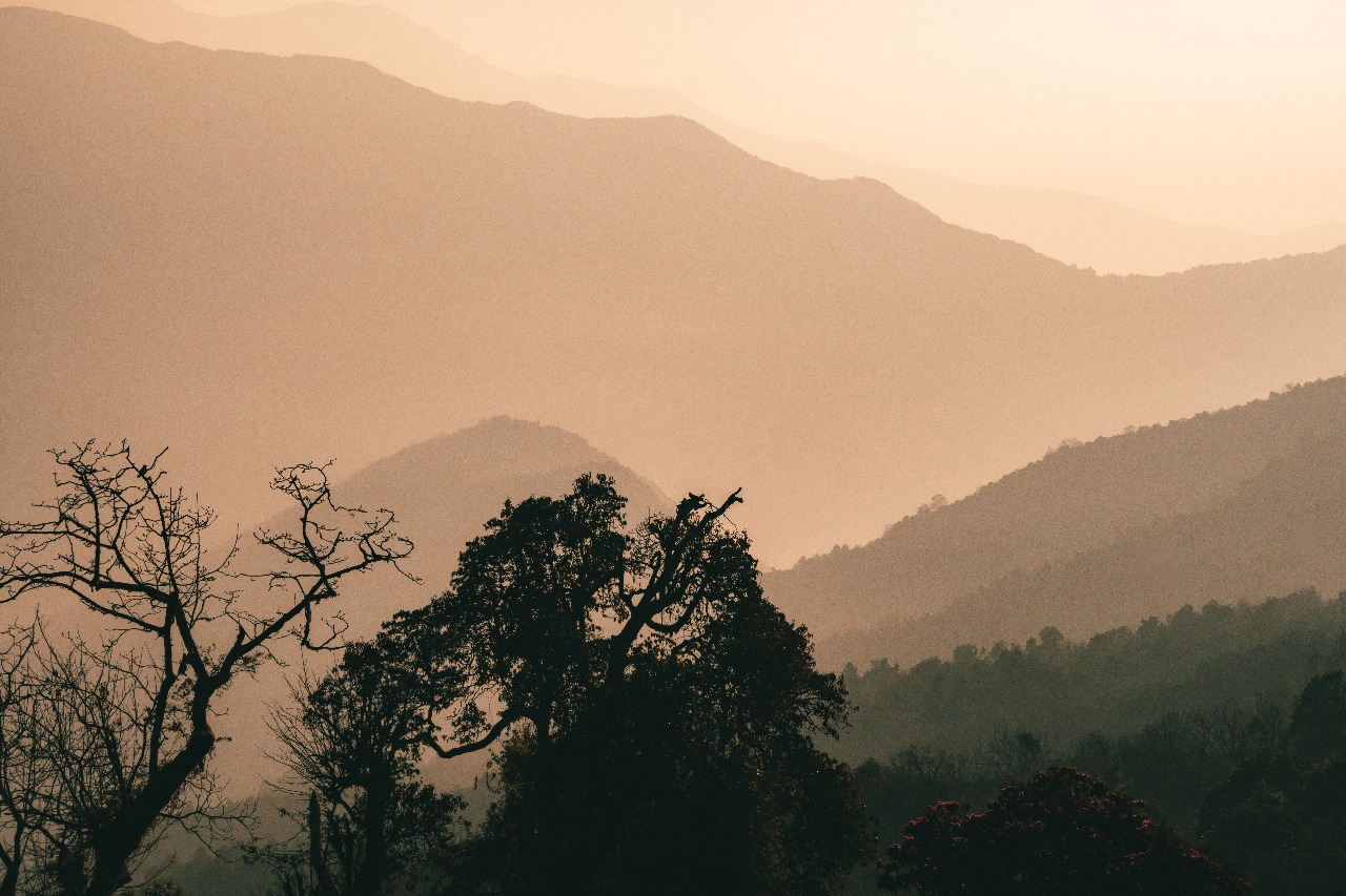 Непал: трекинг в горах, сафари и духовные места (6/45)