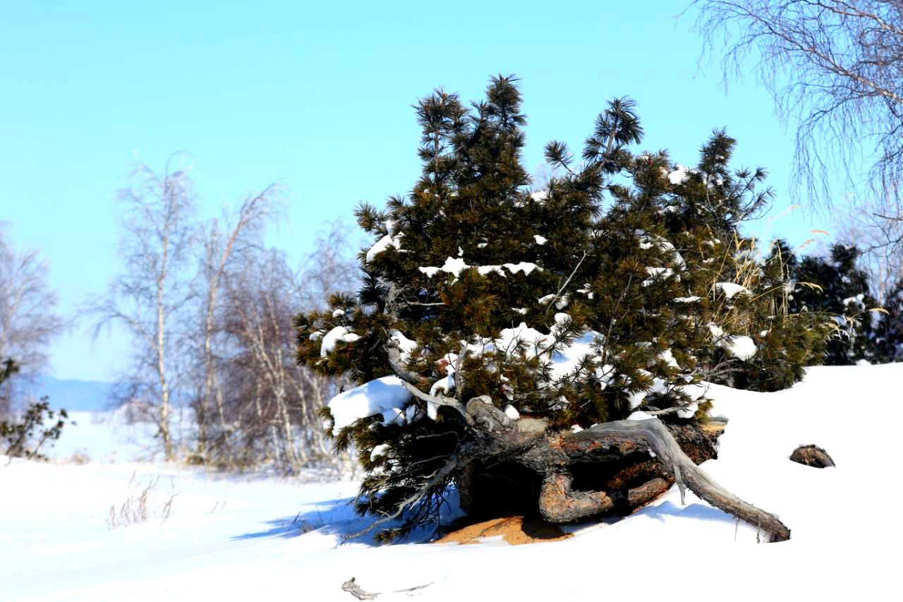 Максимум Байкала: Маяк в Турке, бассейн в Горячинске и многое другое (16/16)
