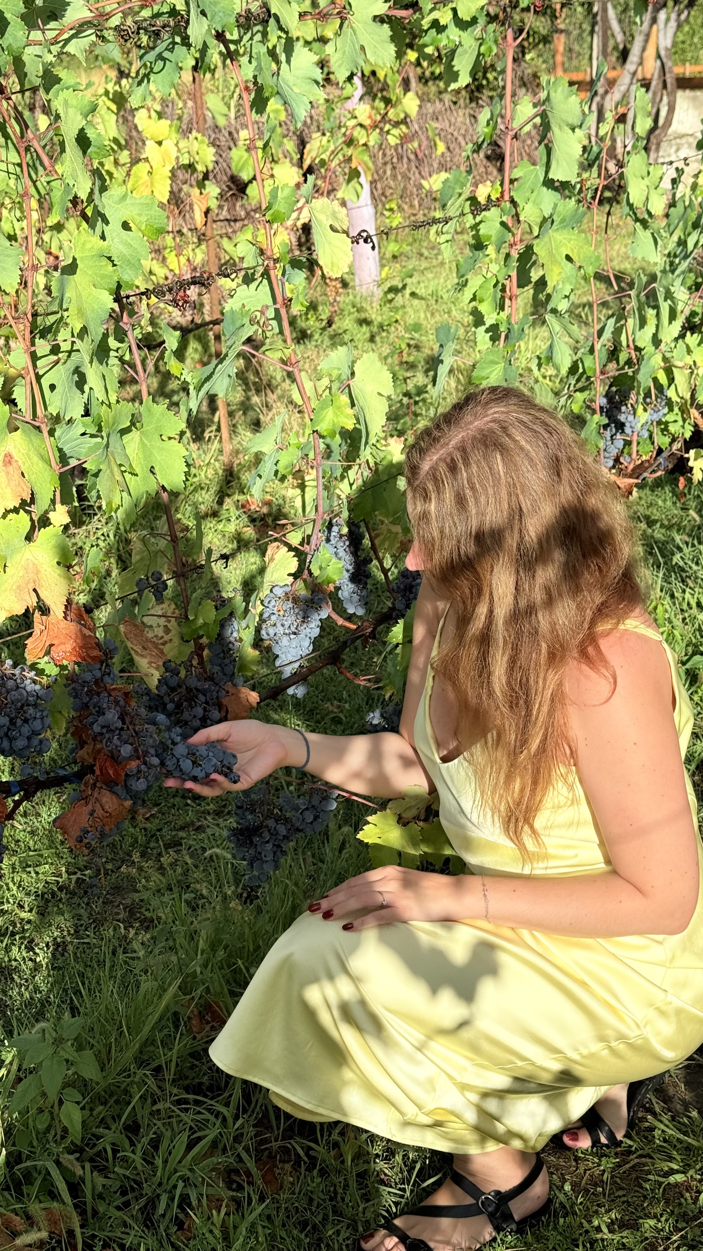 Девичник в Грузии! Мини группа (24/45)