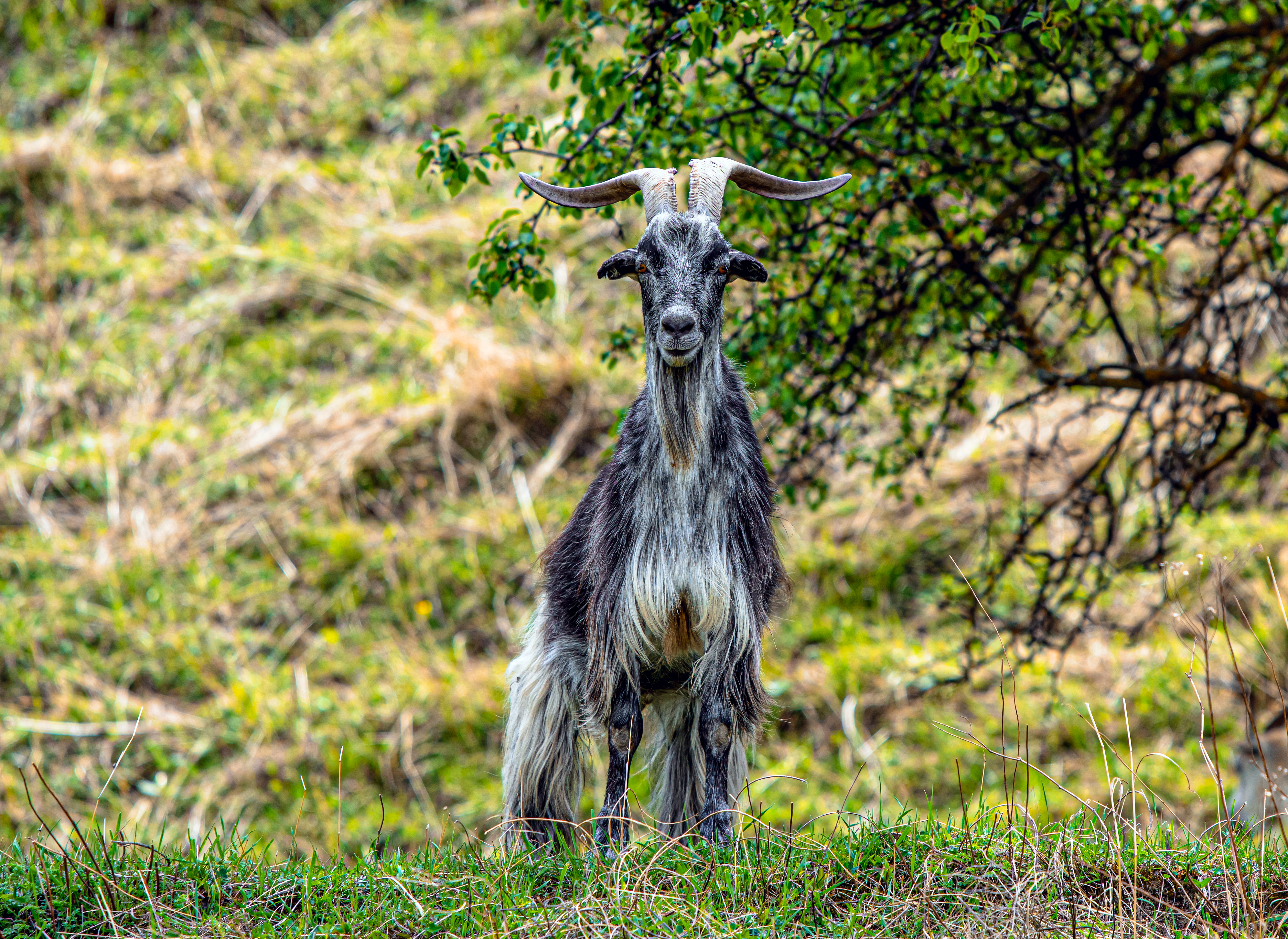 Горный Дагестан из Перми (27/60)