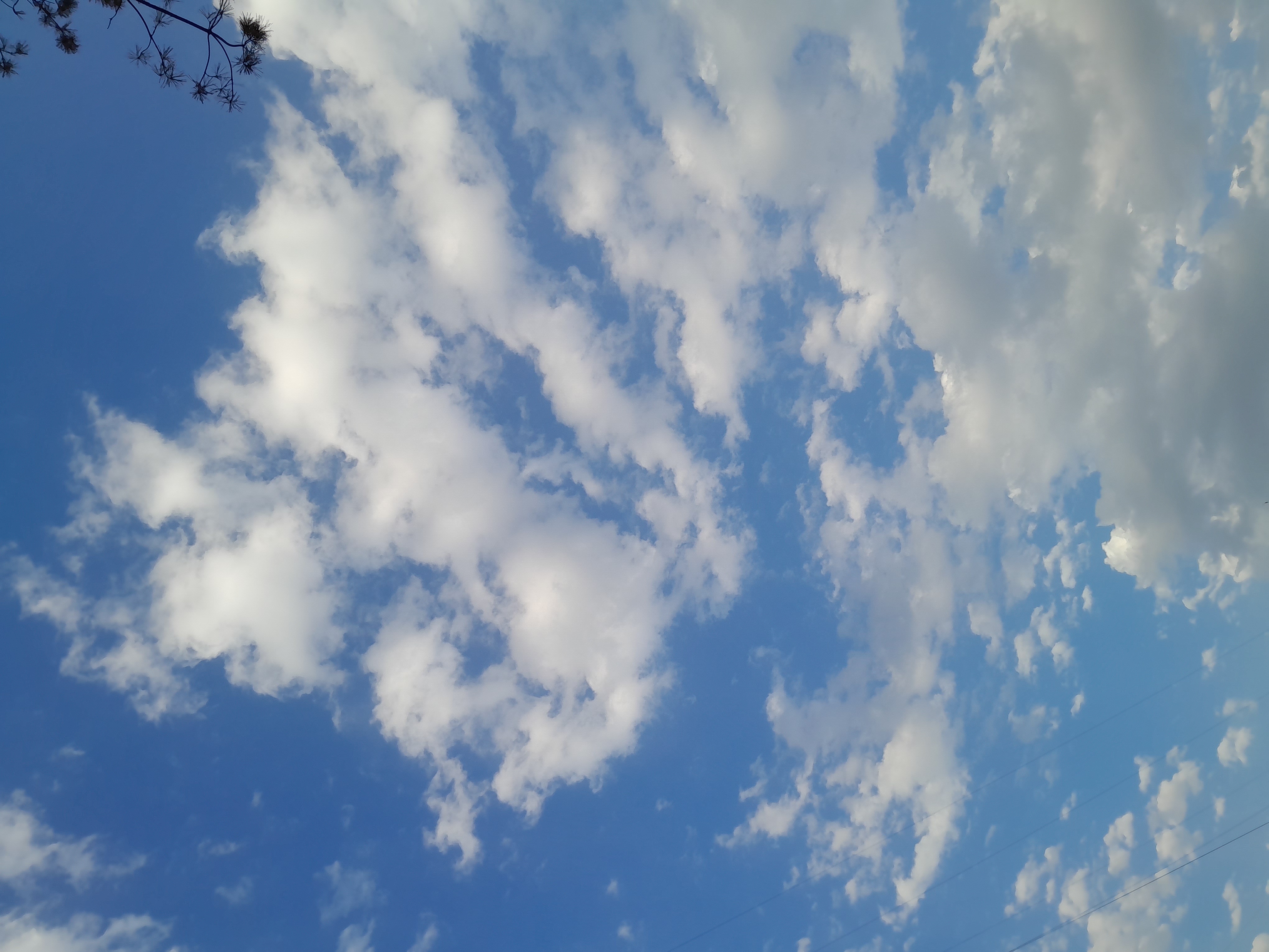 Треккинг: По тропам Каракунгей — к вершине Слониха (15/16)