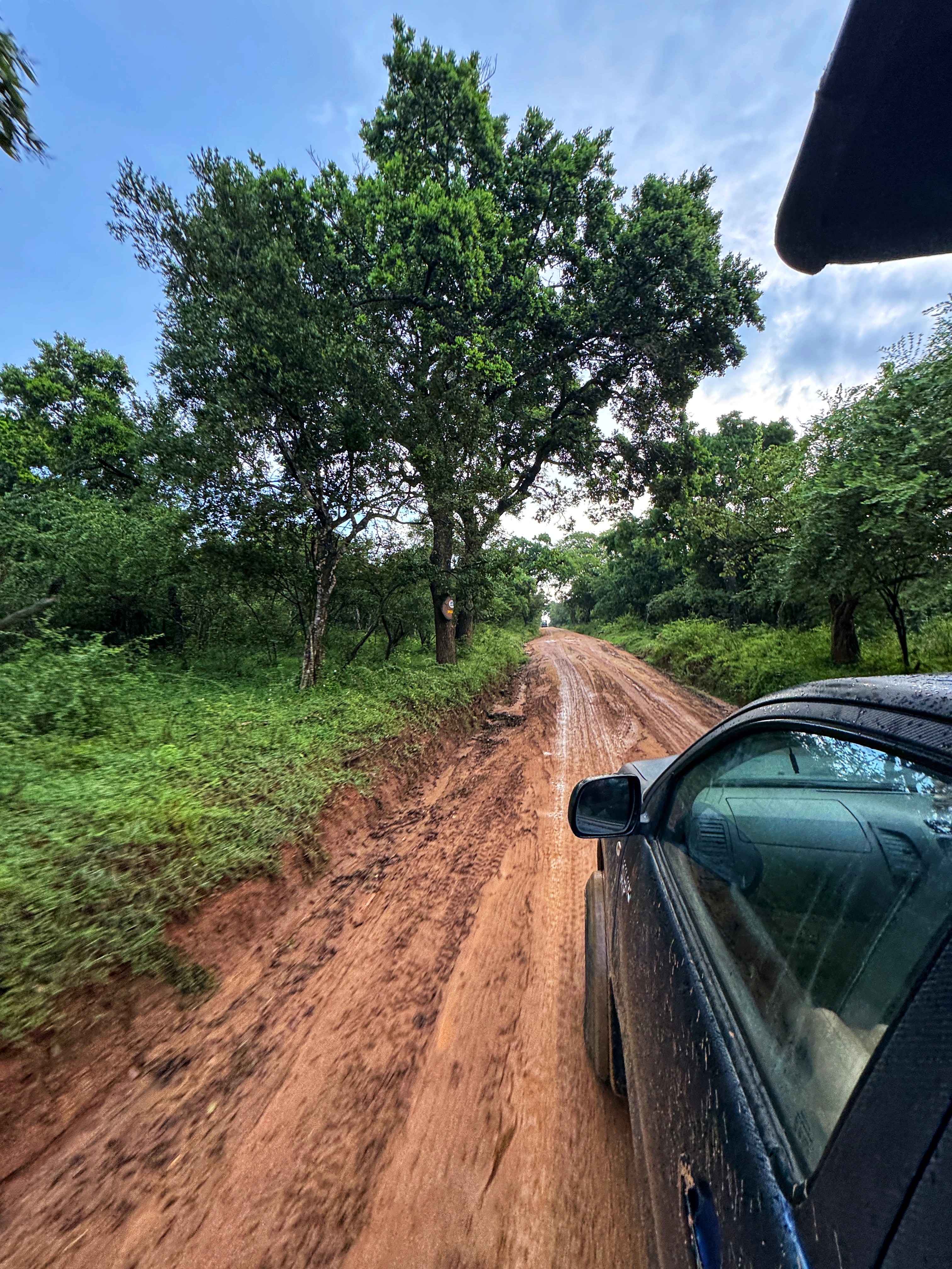 Шри-Ланка: всё самое лучшее за 8 дней + Сафари в Яле (13/40)