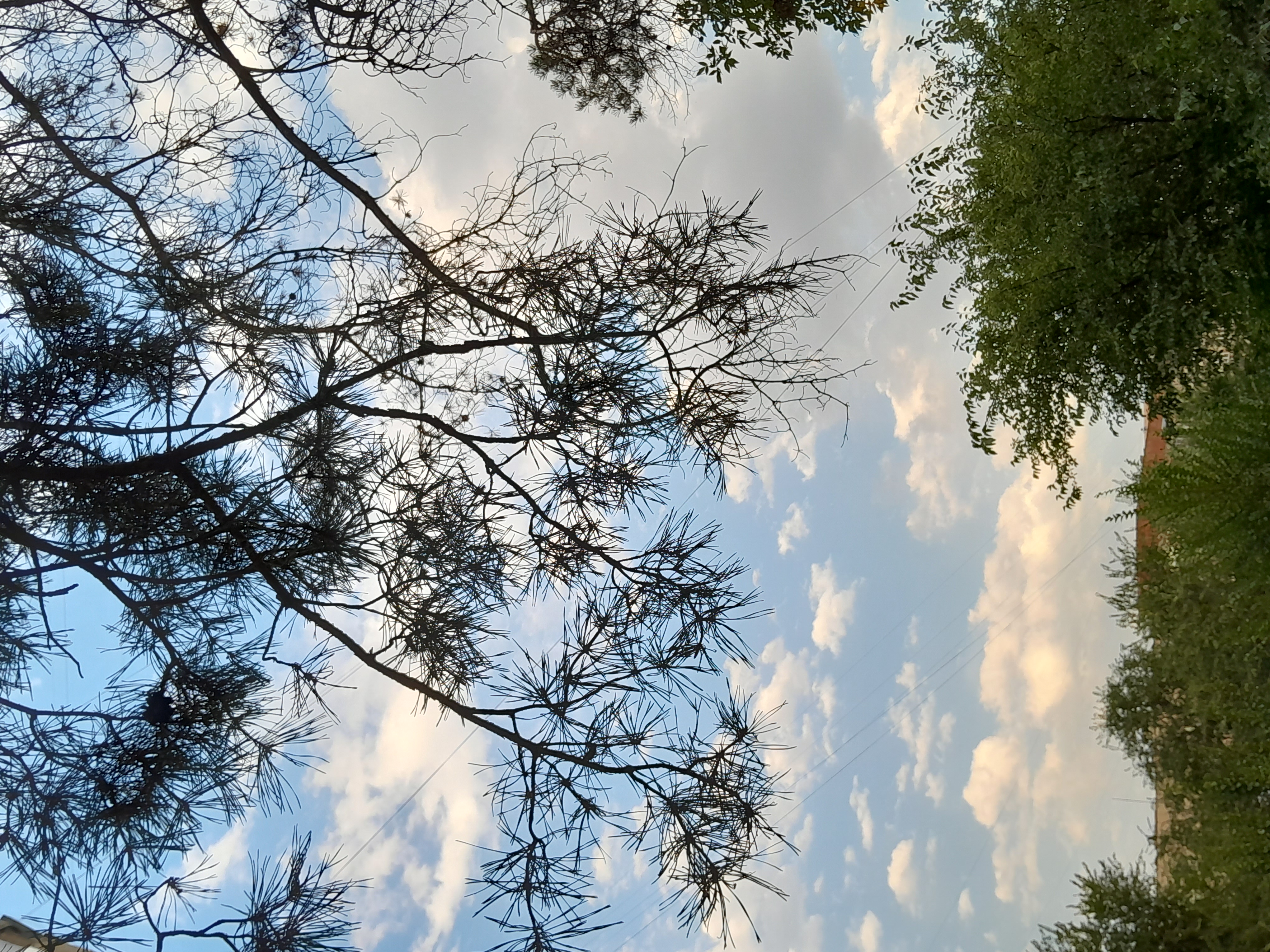 Треккинг: По тропам Каракунгей — к вершине Слониха (16/16)