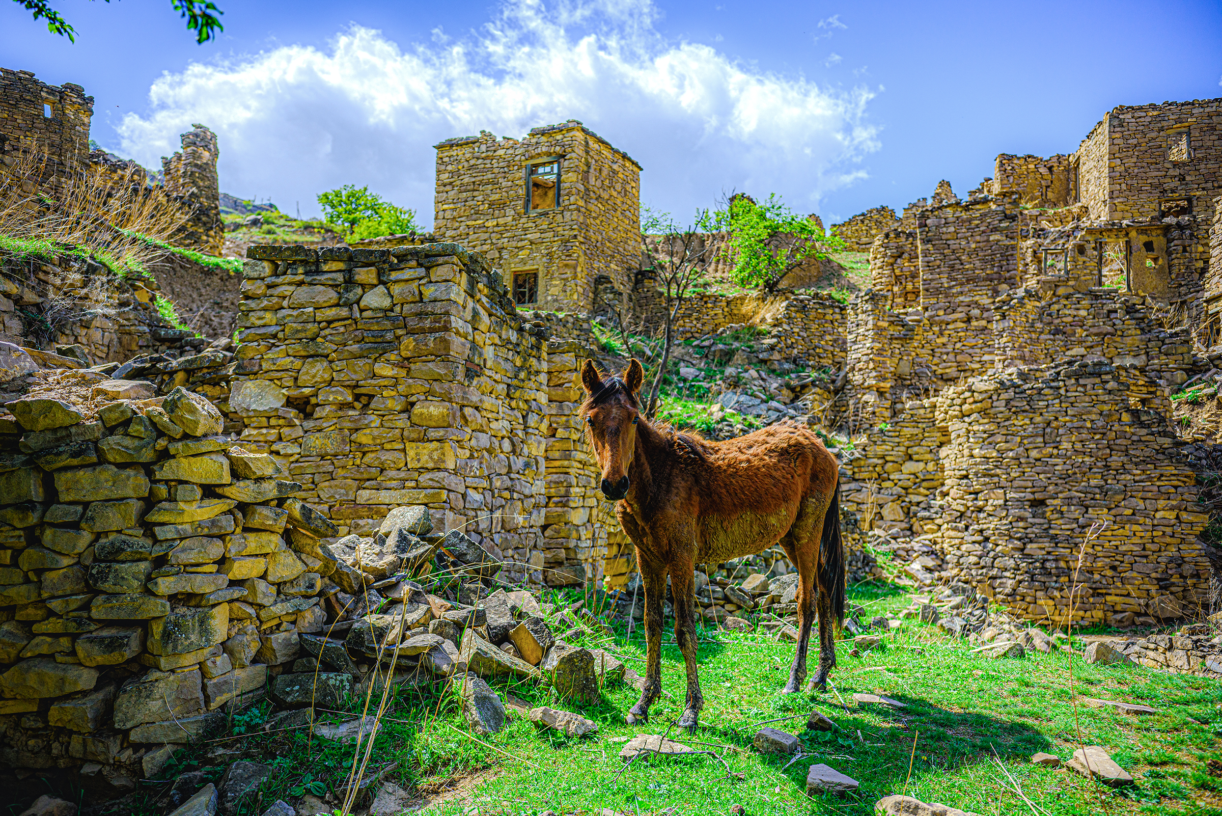 Горный Дагестан из Перми (29/60)