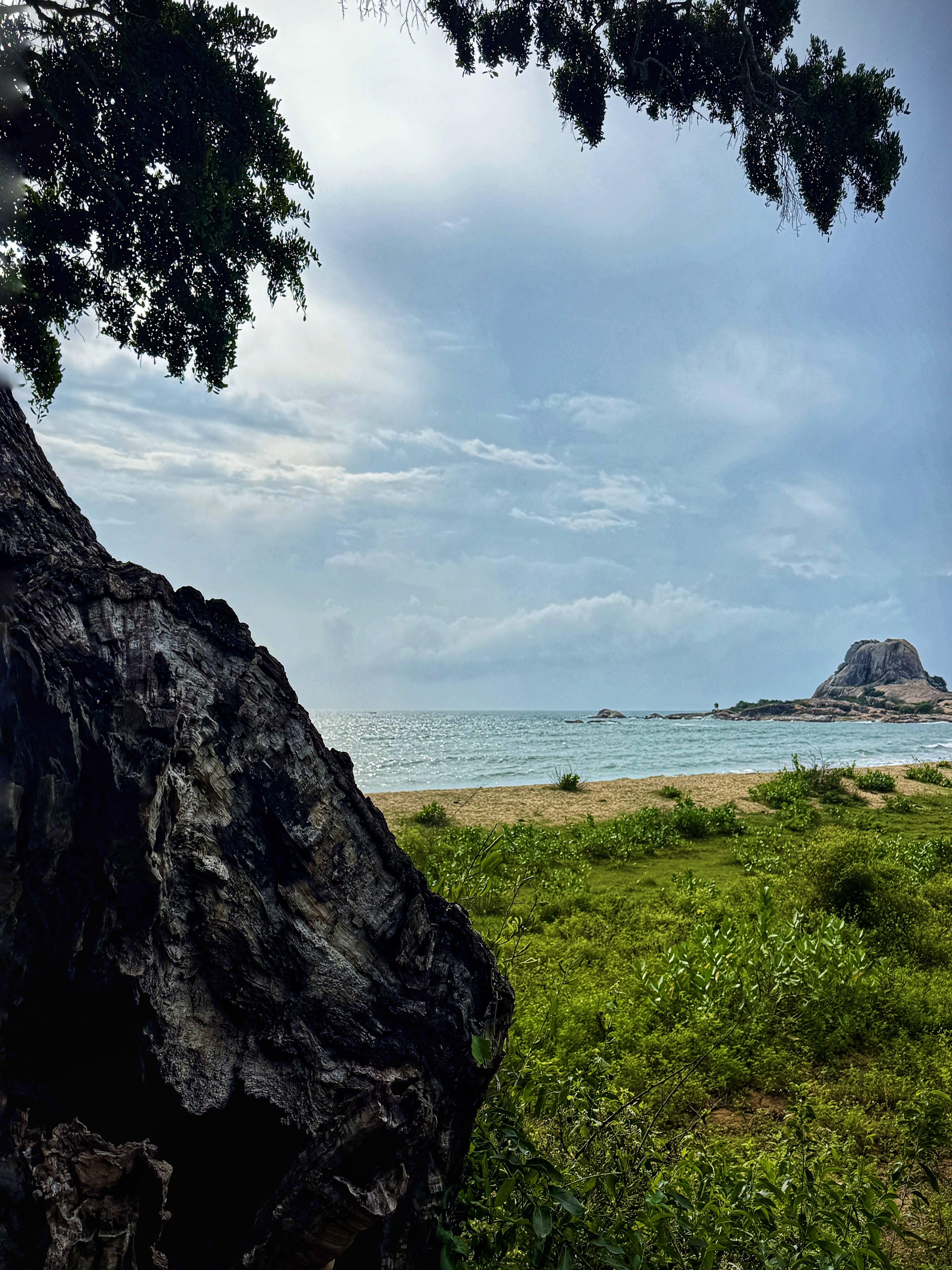 Шри-Ланка: всё самое лучшее за 8 дней + Сафари в Яле (8/40)