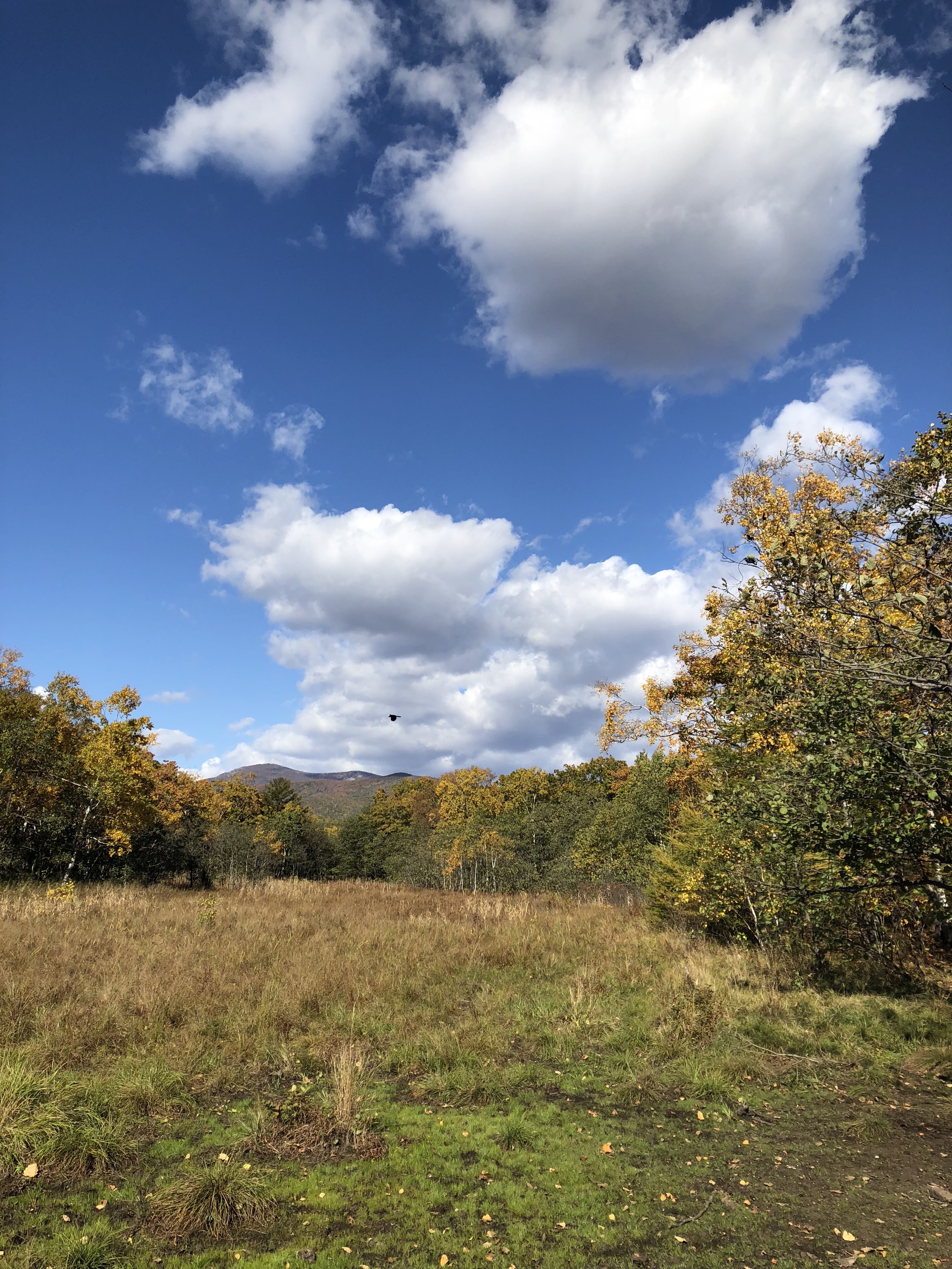 Терней. Сихотэ-Алинский заповедник. Мыс Северный