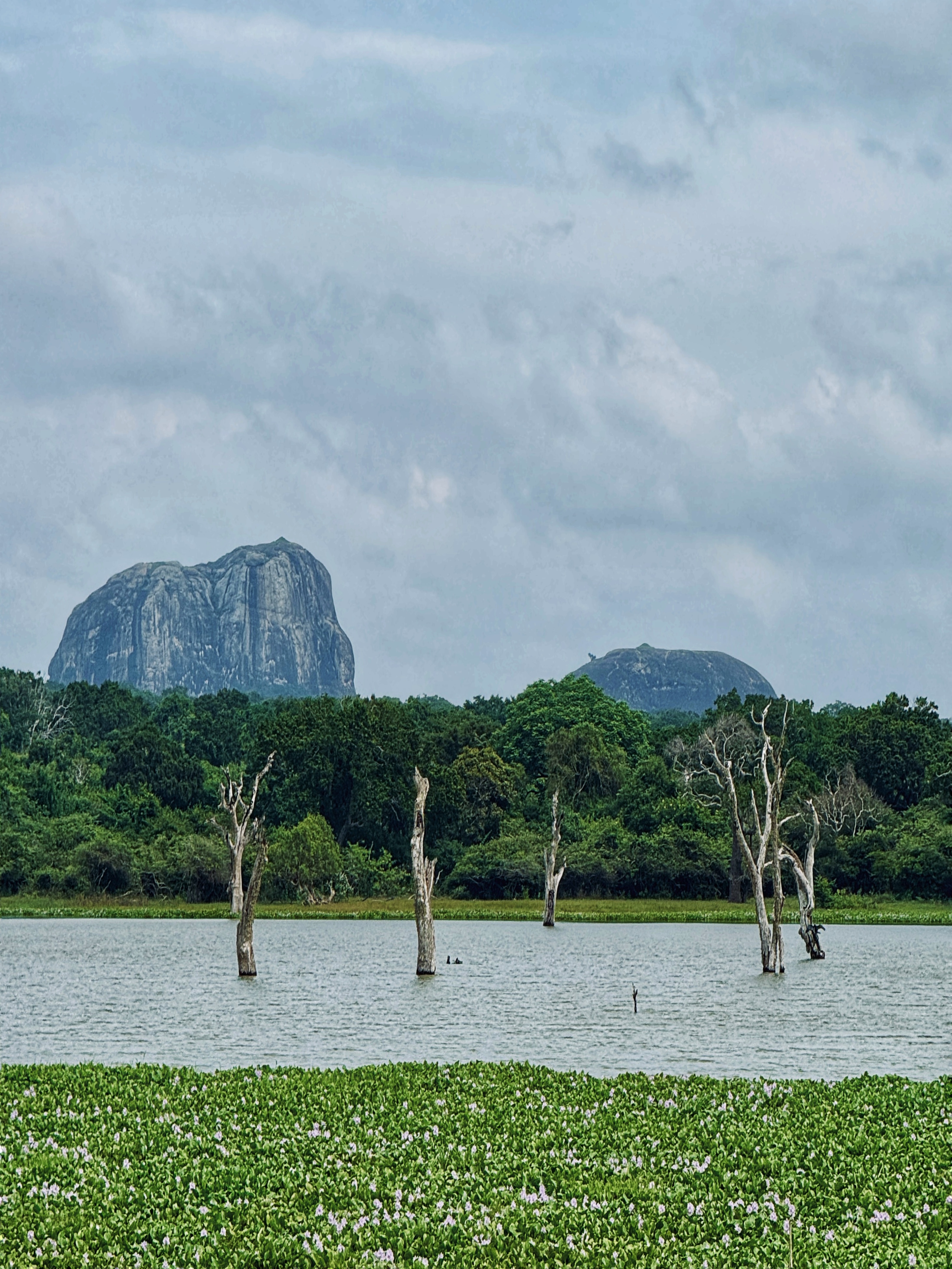 Шри-Ланка: всё самое лучшее за 8 дней + Сафари в Яле (7/40)