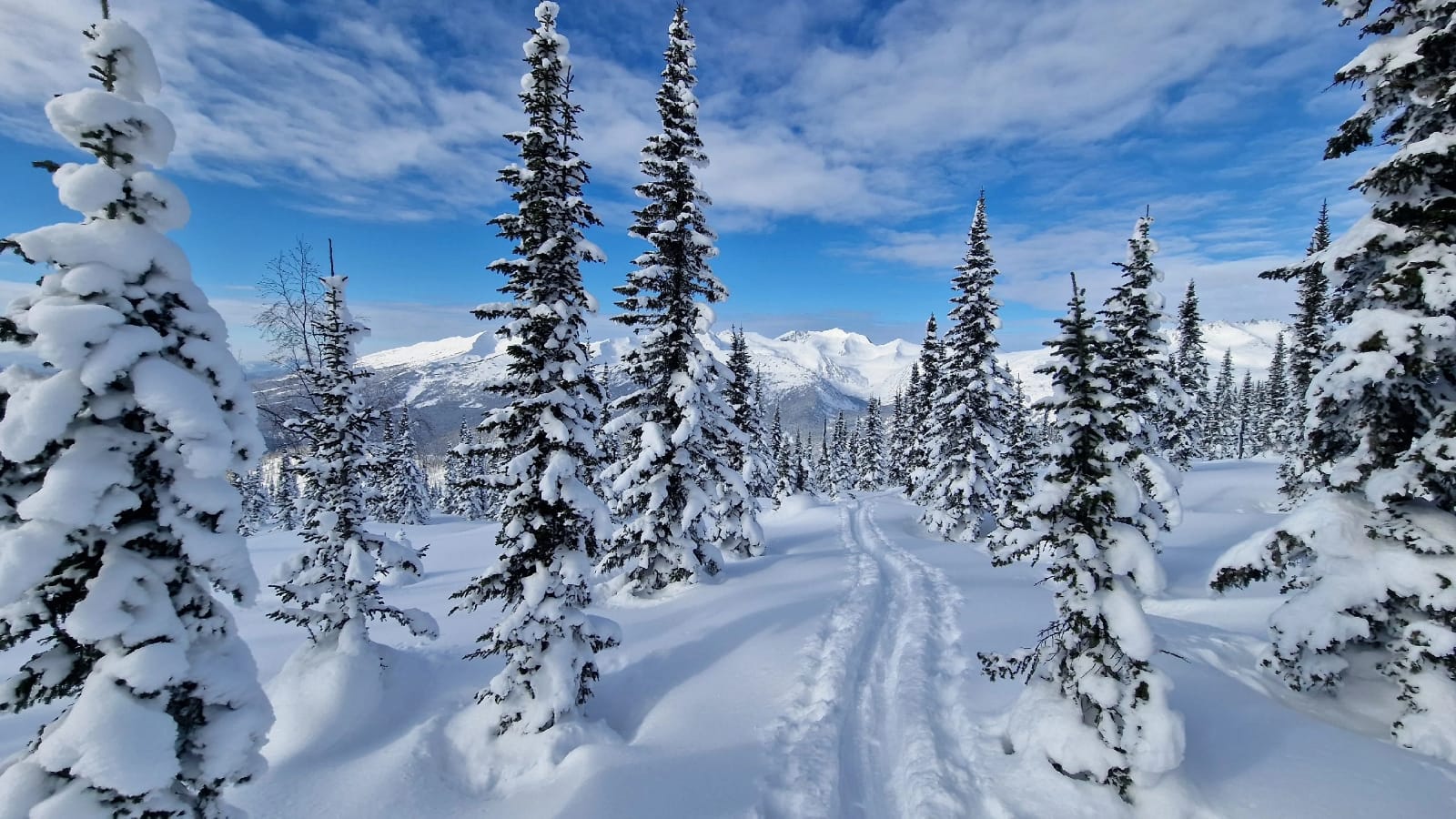 Лучшее на Алтае Зимой, 5 дней (15/15)