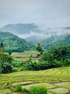 Шри-Ланка: всё самое лучшее за 8 дней + Сафари в Яле (16/40)