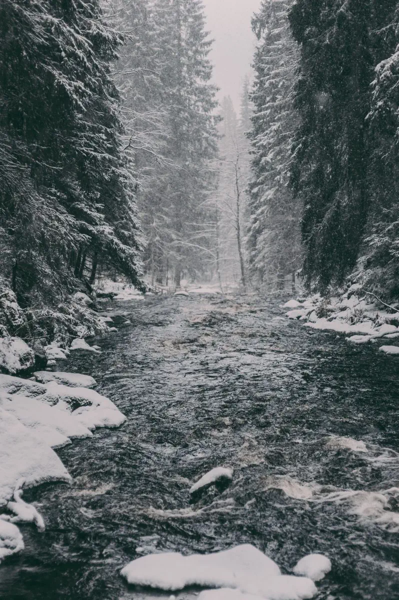 Сила природы Карелии. Долина водопадов (6/8)