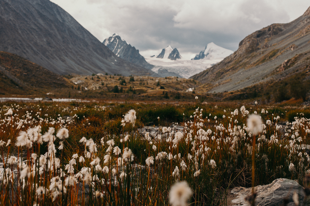 К Чуйским белкам, активный треккинг-тур налегке (9/40)