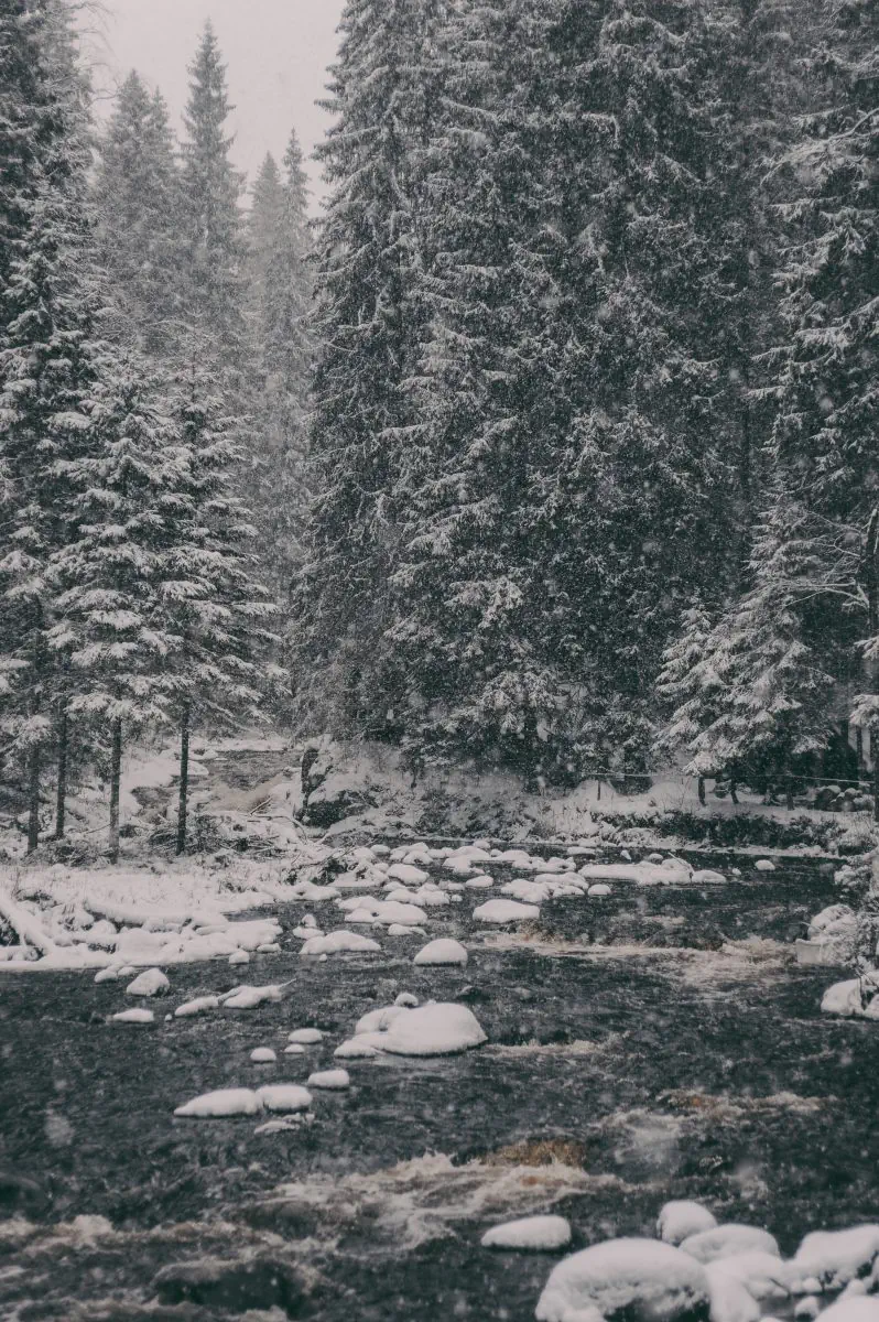 Сила природы Карелии. Долина водопадов (5/8)