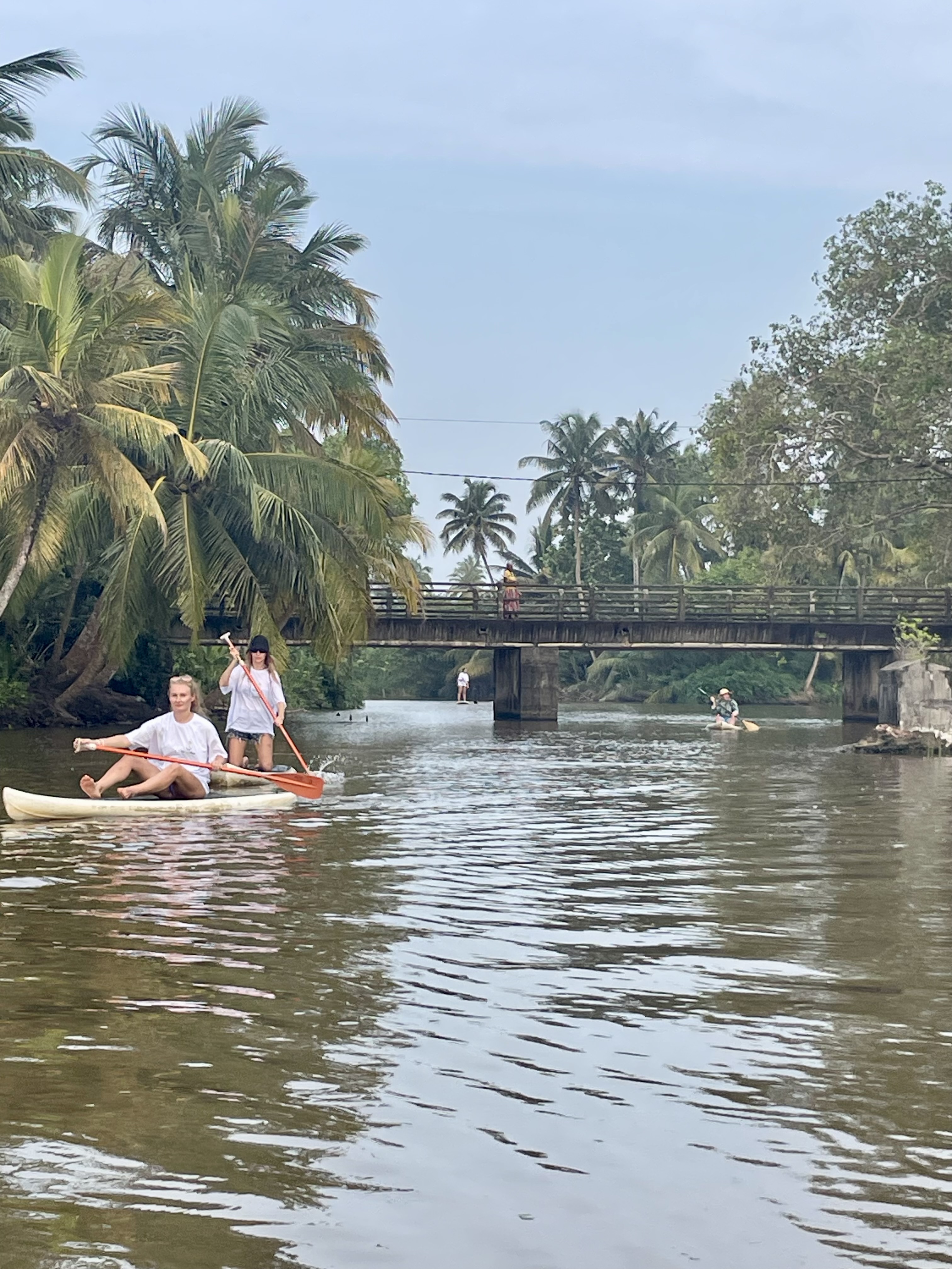 Шри-Ланка на максимум: от джунглей до океанских волн (49/100)