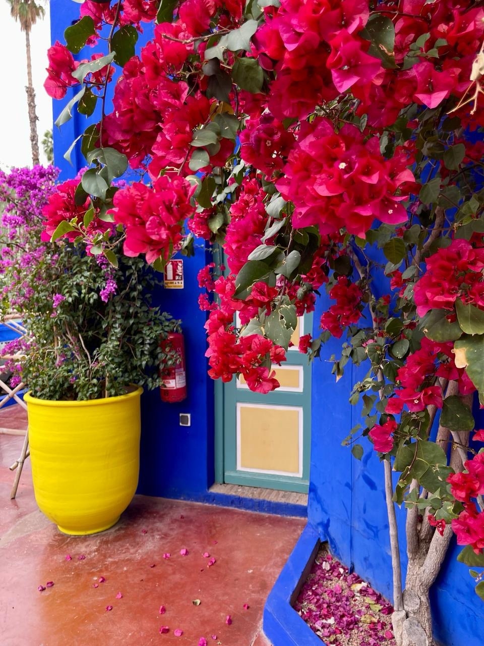 Марокко. Древнее Королевство с перелётом из Санкт-Петербурга (57/81)