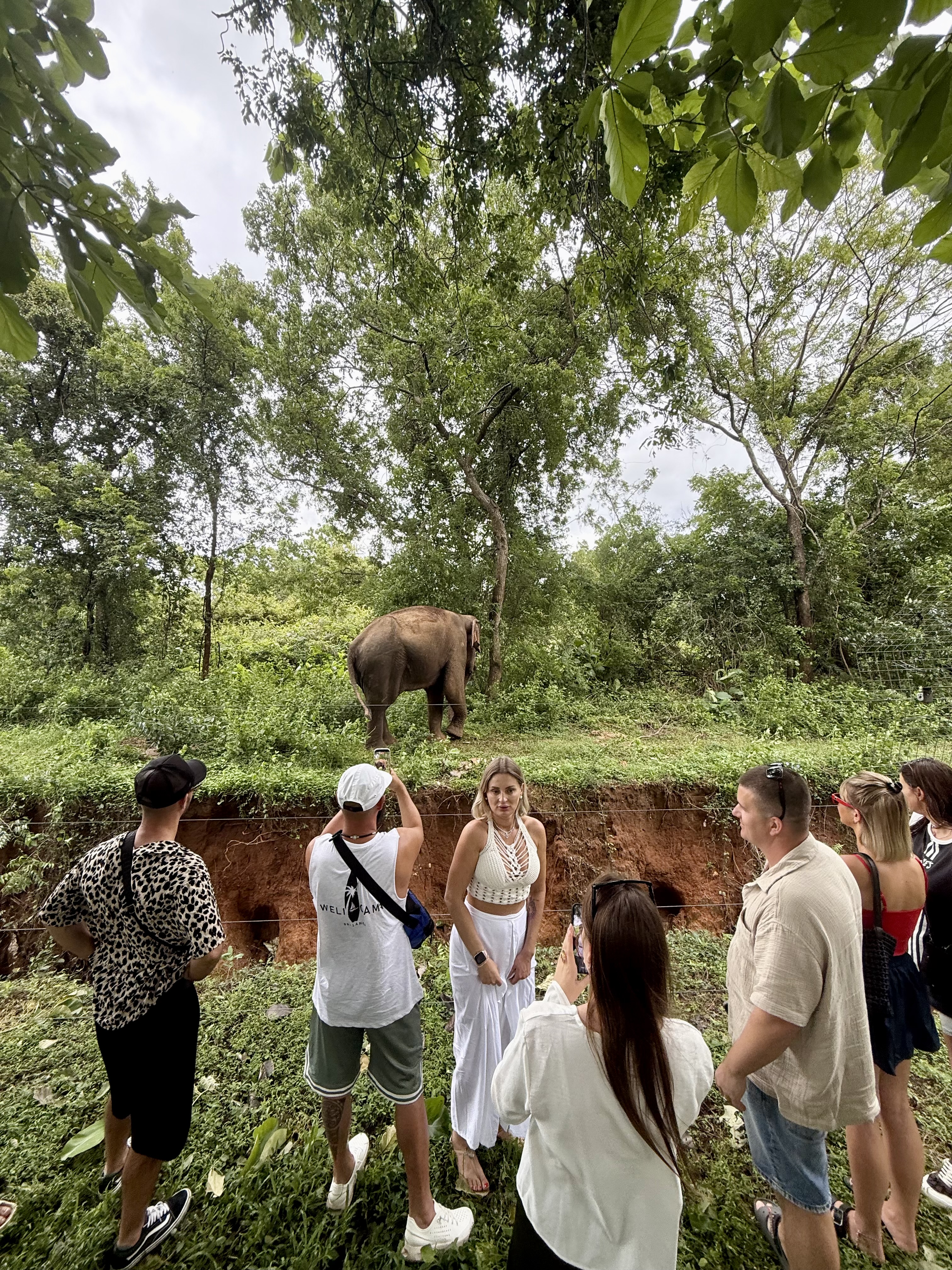 Шри-Ланка на максимум: от джунглей до океанских волн (57/100)