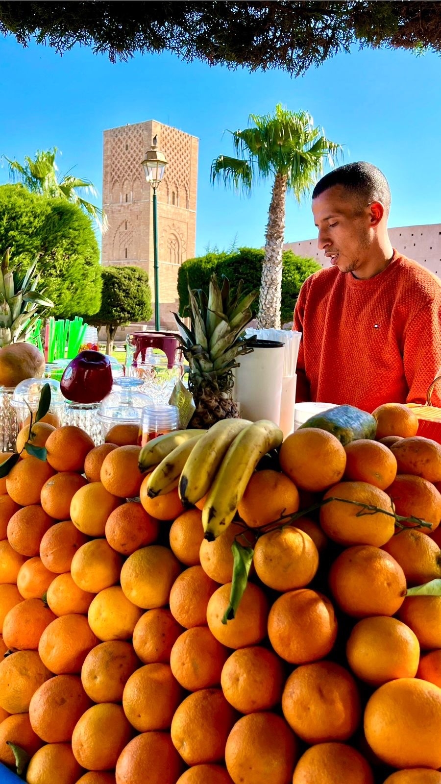 Марокко. Древнее Королевство с перелётом из Санкт-Петербурга (58/81)