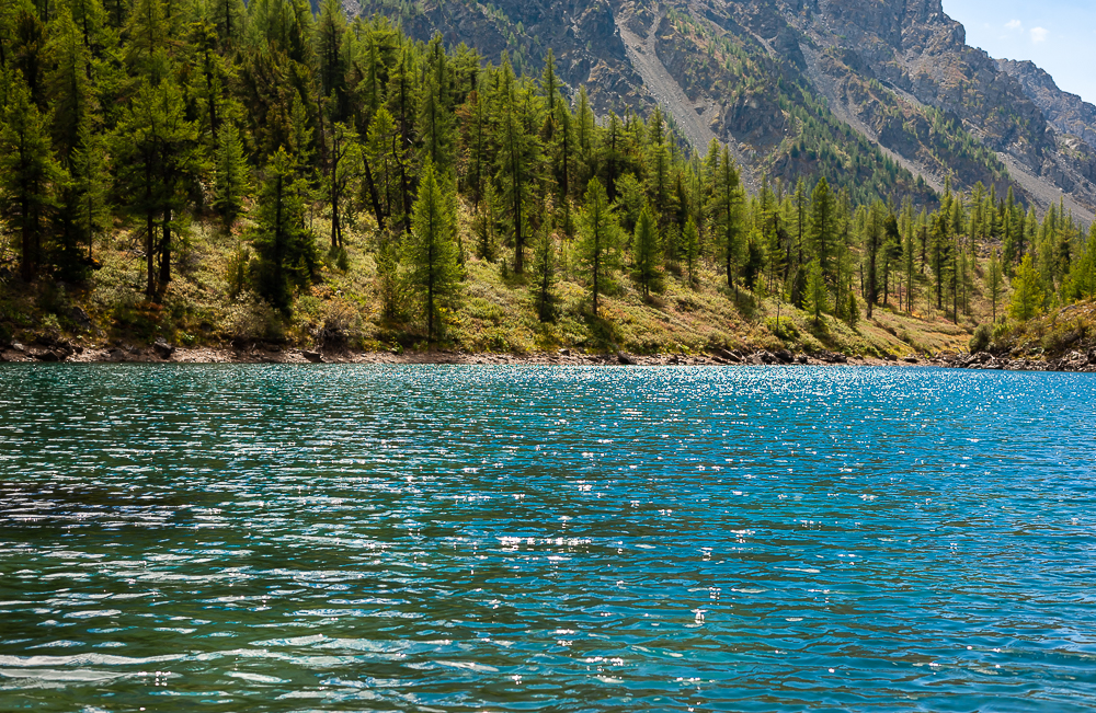 К Чуйским белкам, активный треккинг-тур налегке (4/40)
