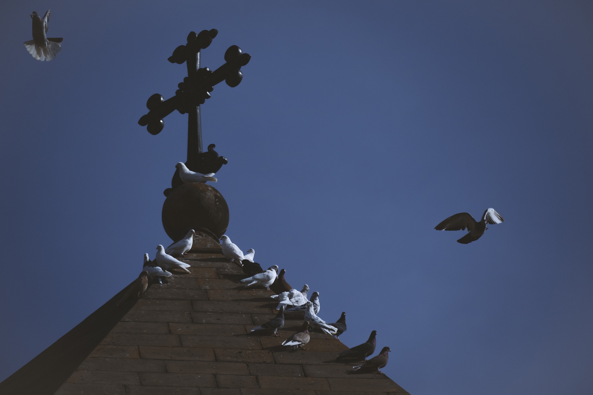 Рождество В Первой Христианской Стране / 03.01 - 09.01 (2/13)