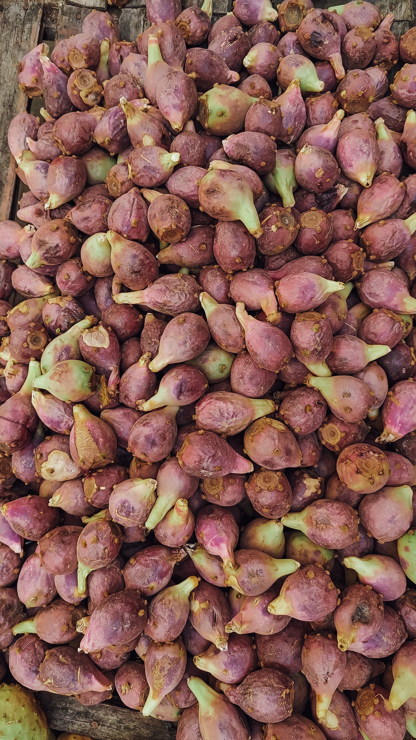 Марокко. Древнее Королевство с перелётом из Санкт-Петербурга (37/81)