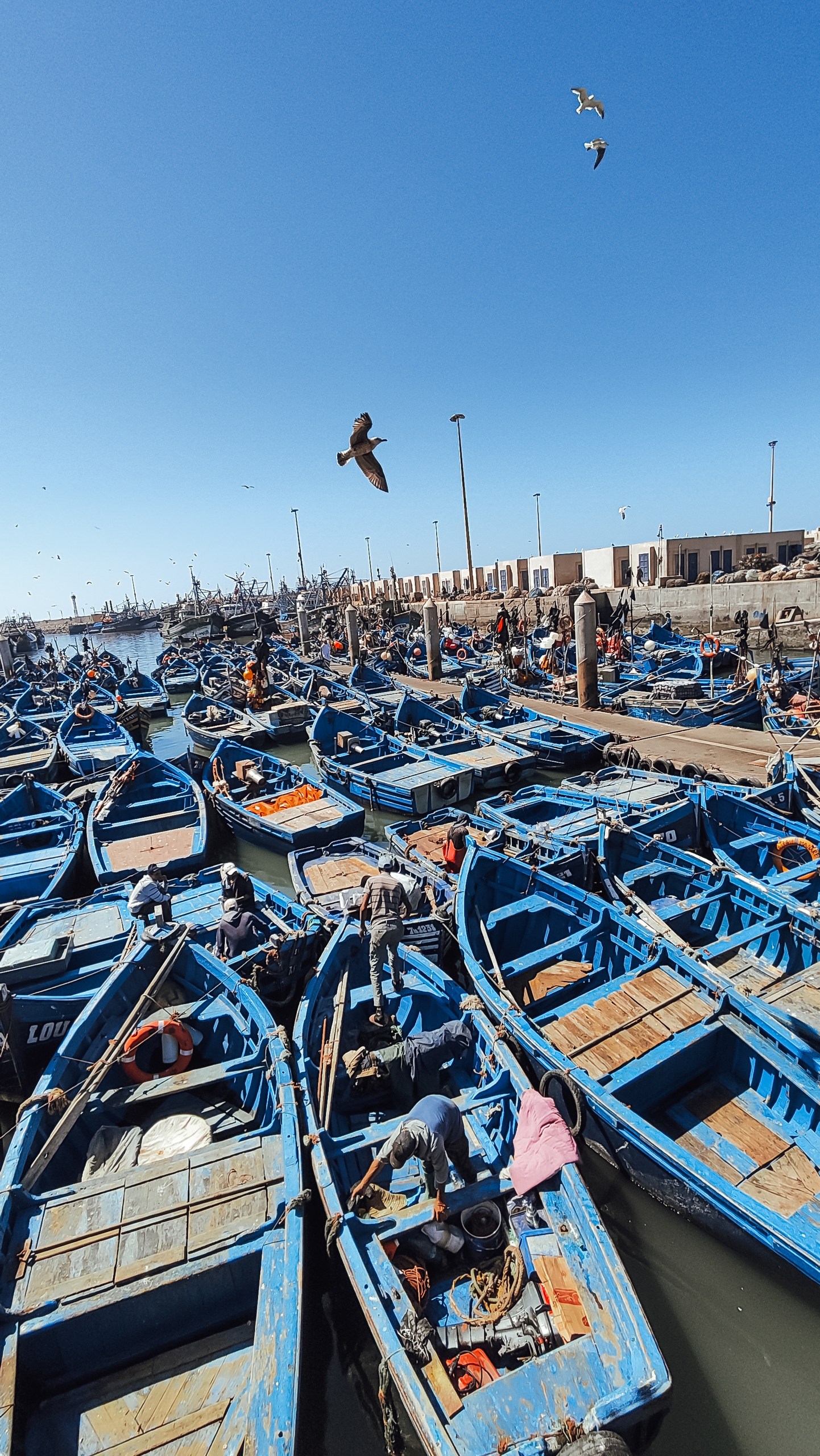Марокко. Древнее Королевство с перелётом из Санкт-Петербурга (42/81)
