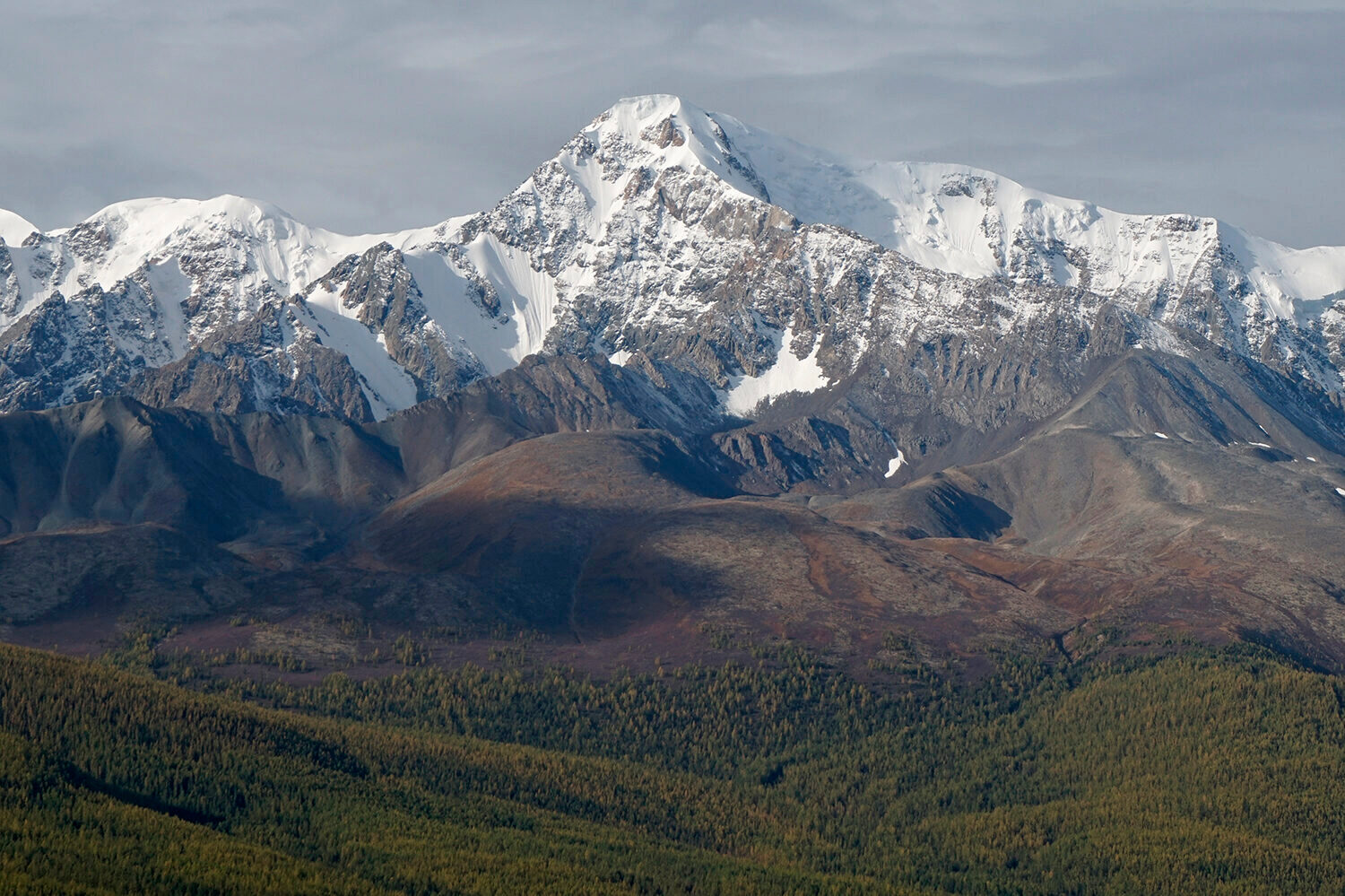 К Чуйским белкам, активный треккинг-тур налегке (8/40)