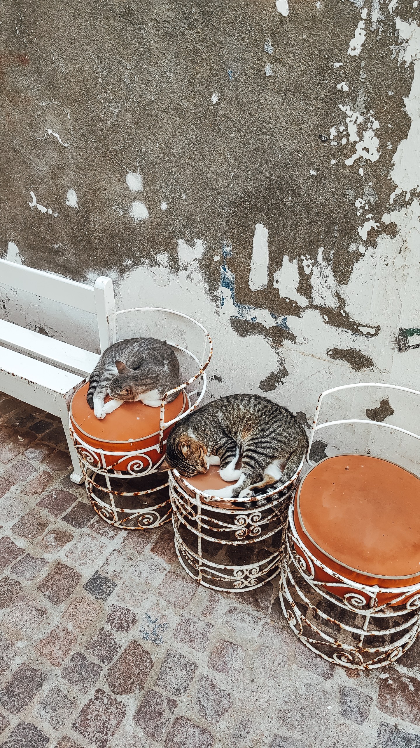 Марокко. Древнее Королевство с перелётом из Санкт-Петербурга (43/81)