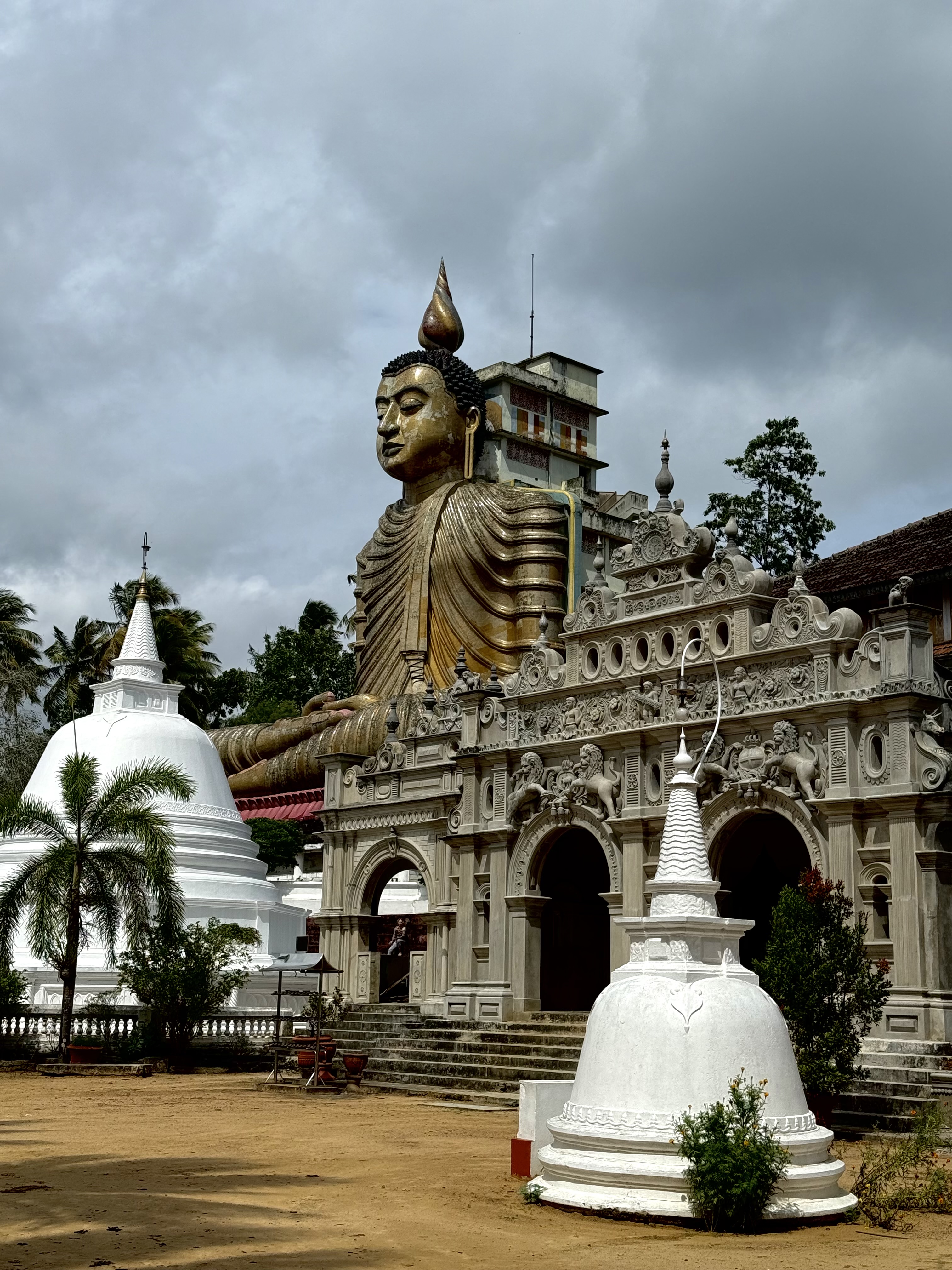 Шри-Ланка на максимум: от джунглей до океанских волн (55/100)