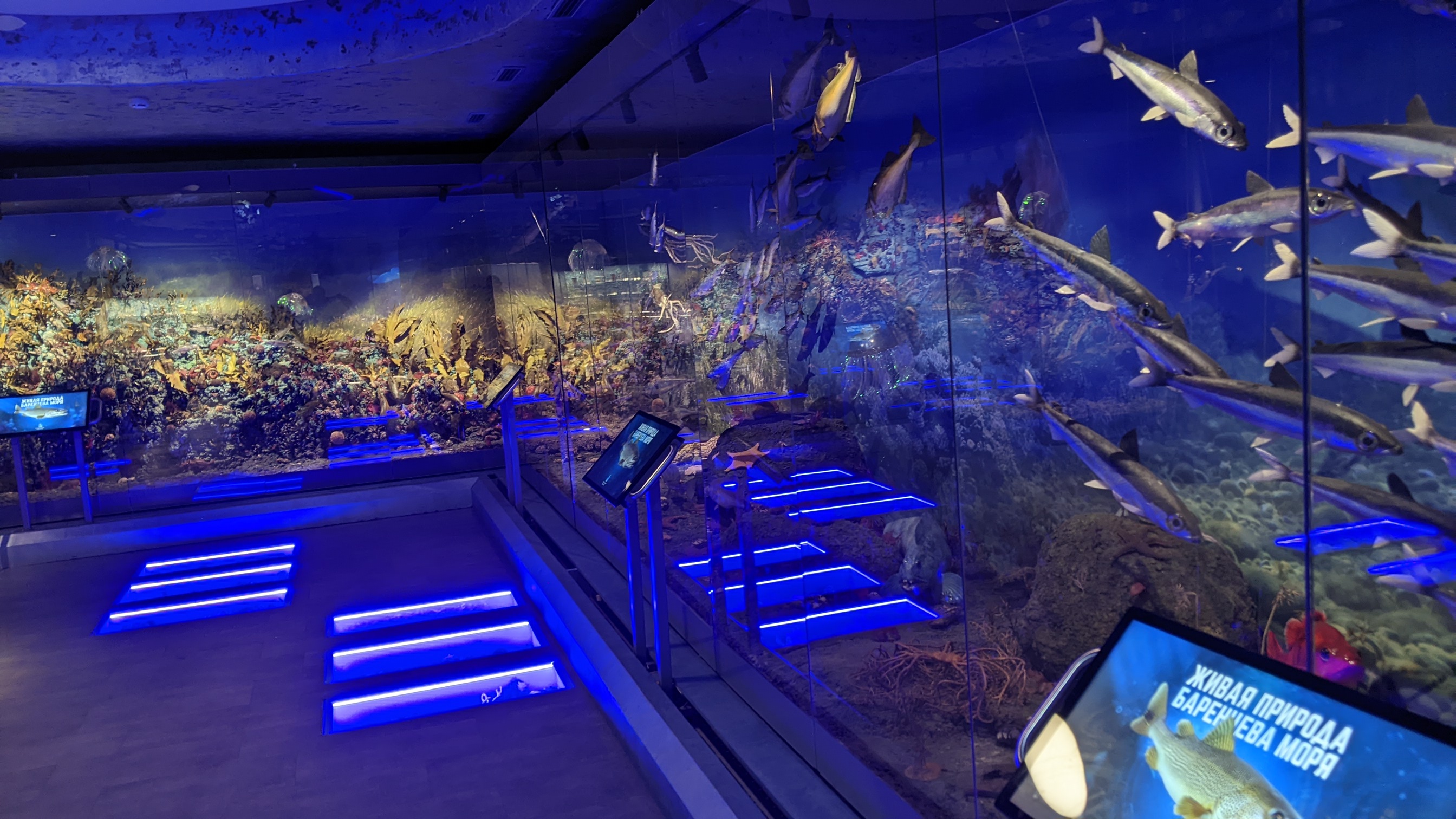 Трансфер с небанальной экскурсией (5/10)