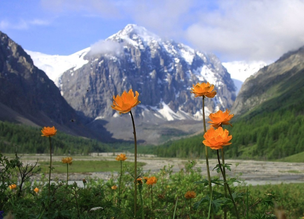 К Чуйским белкам, активный треккинг-тур налегке (20/40)
