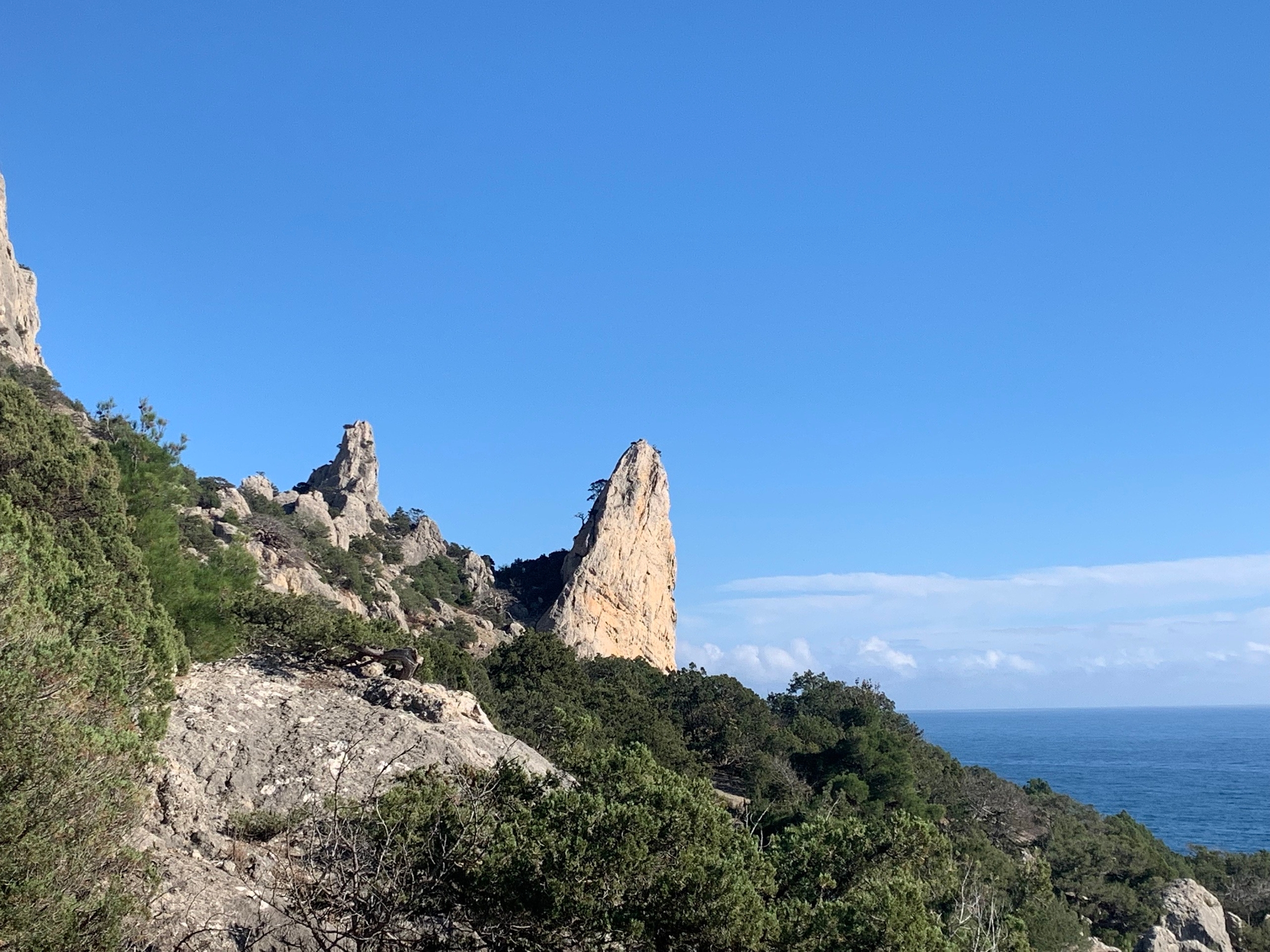 Прогулки по долинам Крыма. Восхождение на гору Сокол. Тренировки по скалолазанию. (17/128)