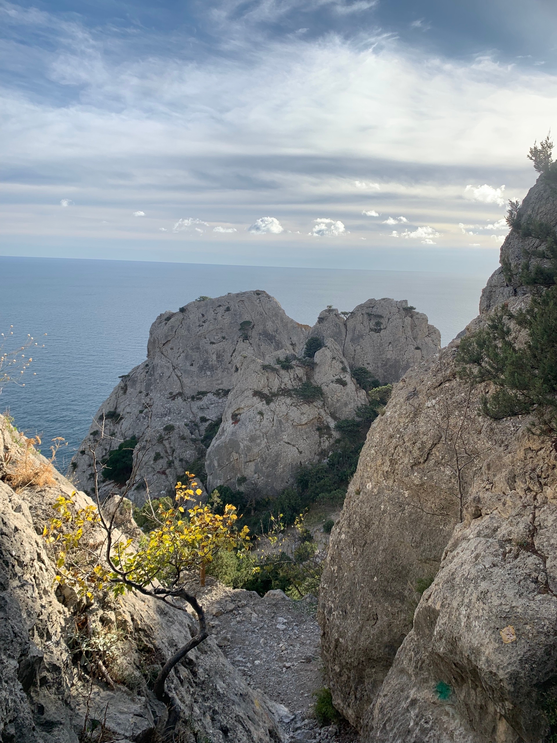 Прогулки по долинам Крыма. Восхождение на гору Сокол. Тренировки по скалолазанию. (14/128)