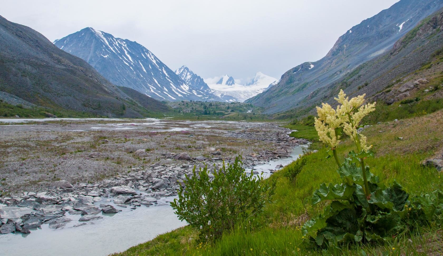 К Чуйским белкам, активный треккинг-тур налегке (22/40)