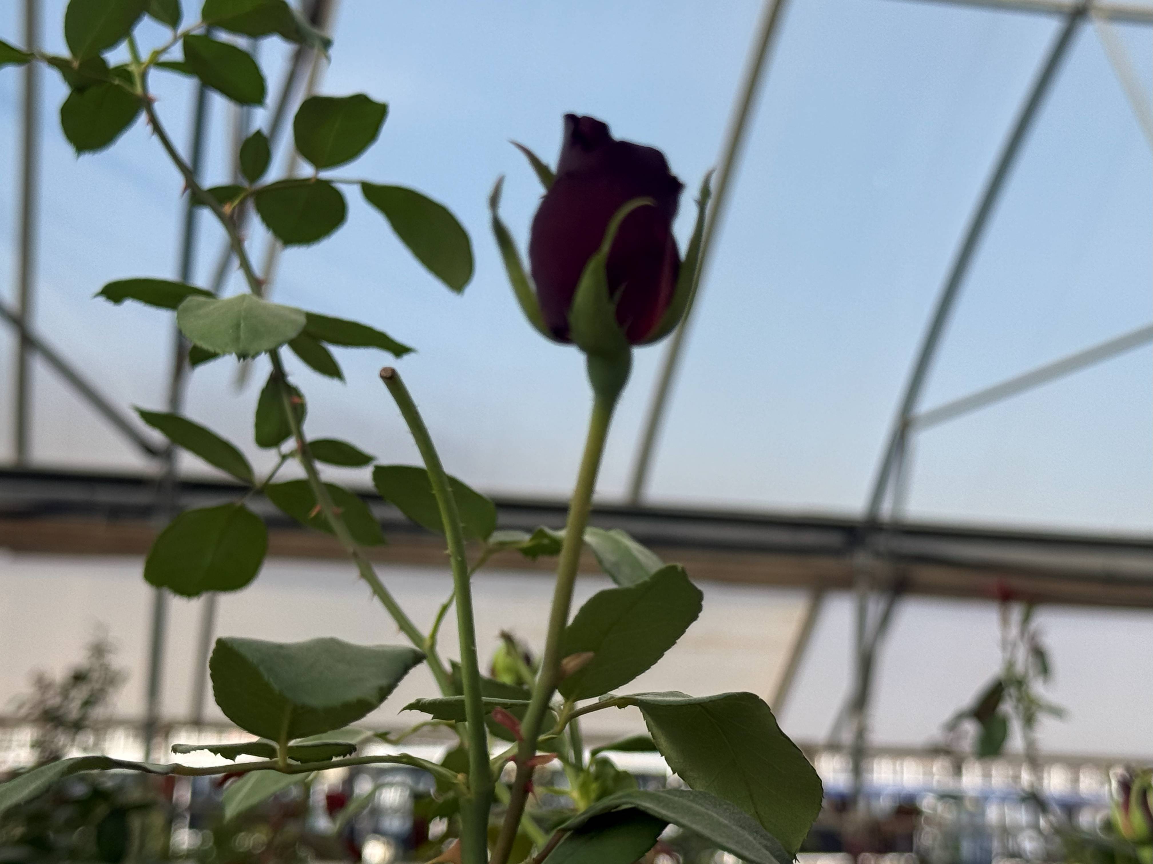 Месопотамия - Колыбель Цивилизаций  7ночей/ 8 дней (120/166)