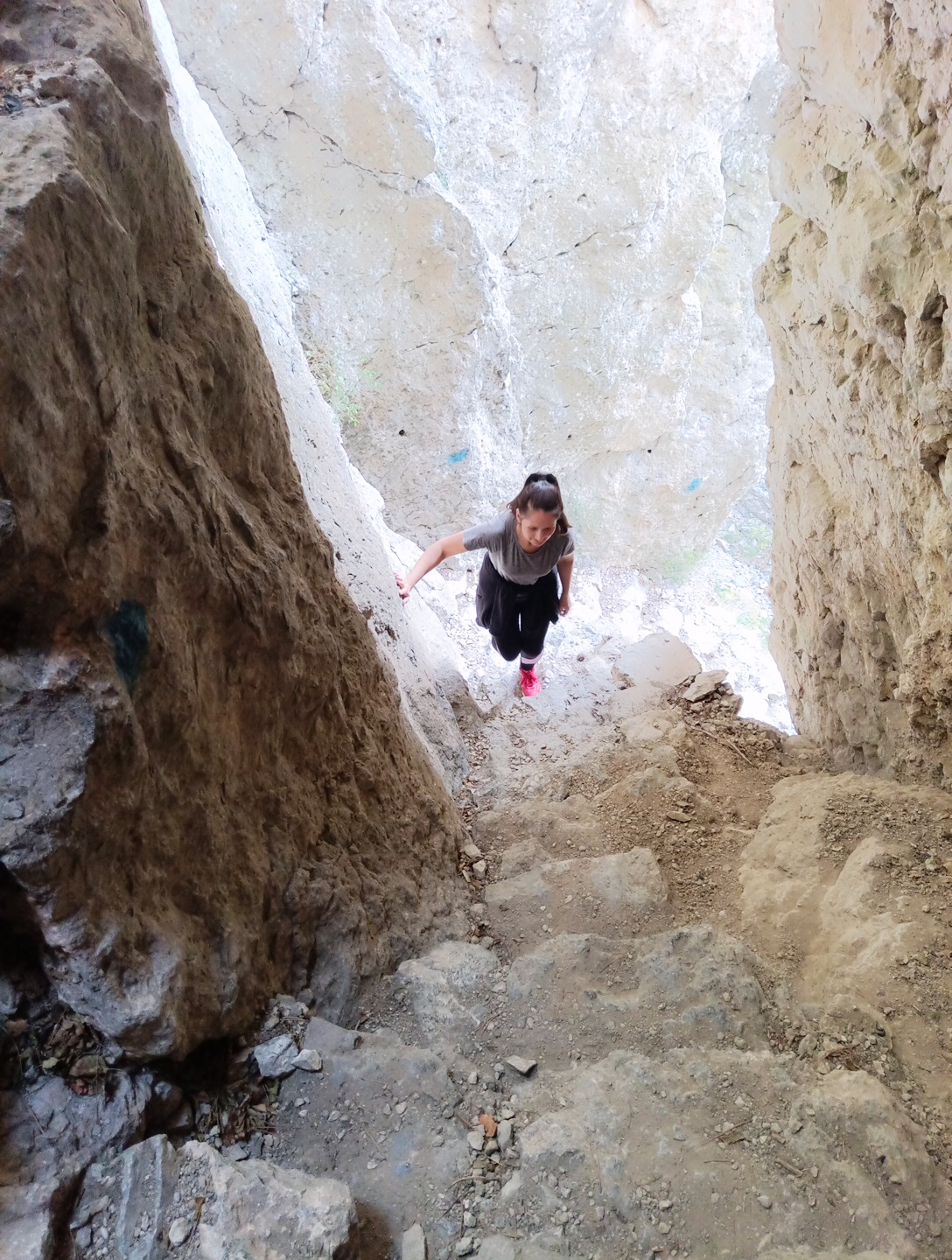 Прогулки по долинам Крыма. Восхождение на гору Сокол. Тренировки по скалолазанию. (32/128)