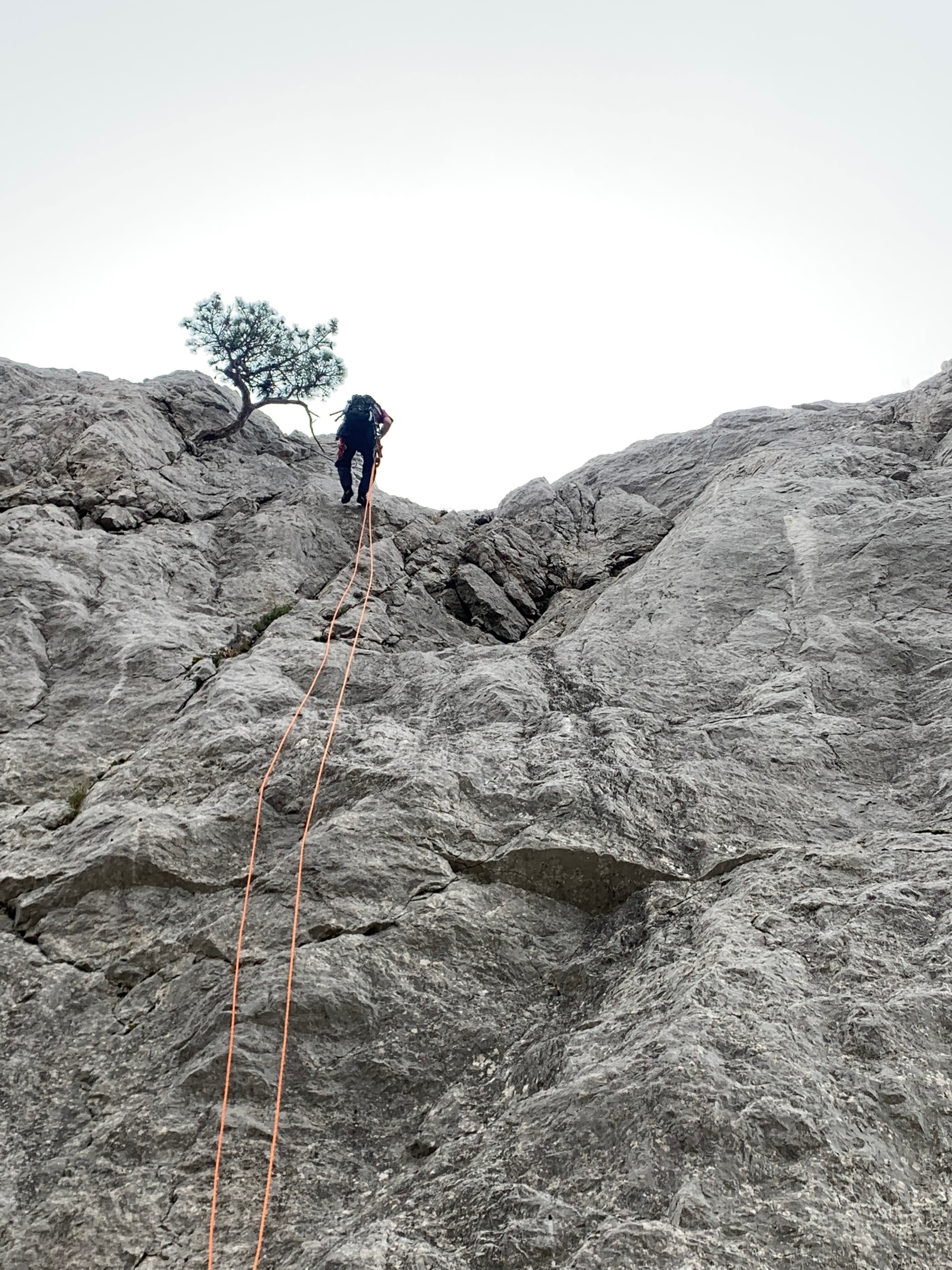 Прогулки по долинам Крыма. Восхождение на гору Сокол. Тренировки по скалолазанию. (6/128)