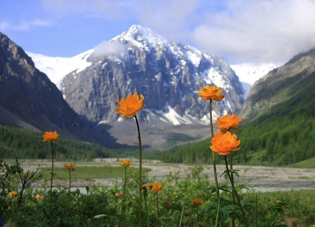 Серебро Алтая, треккинг без рюкзаков к ледникам Актру. (12/36)