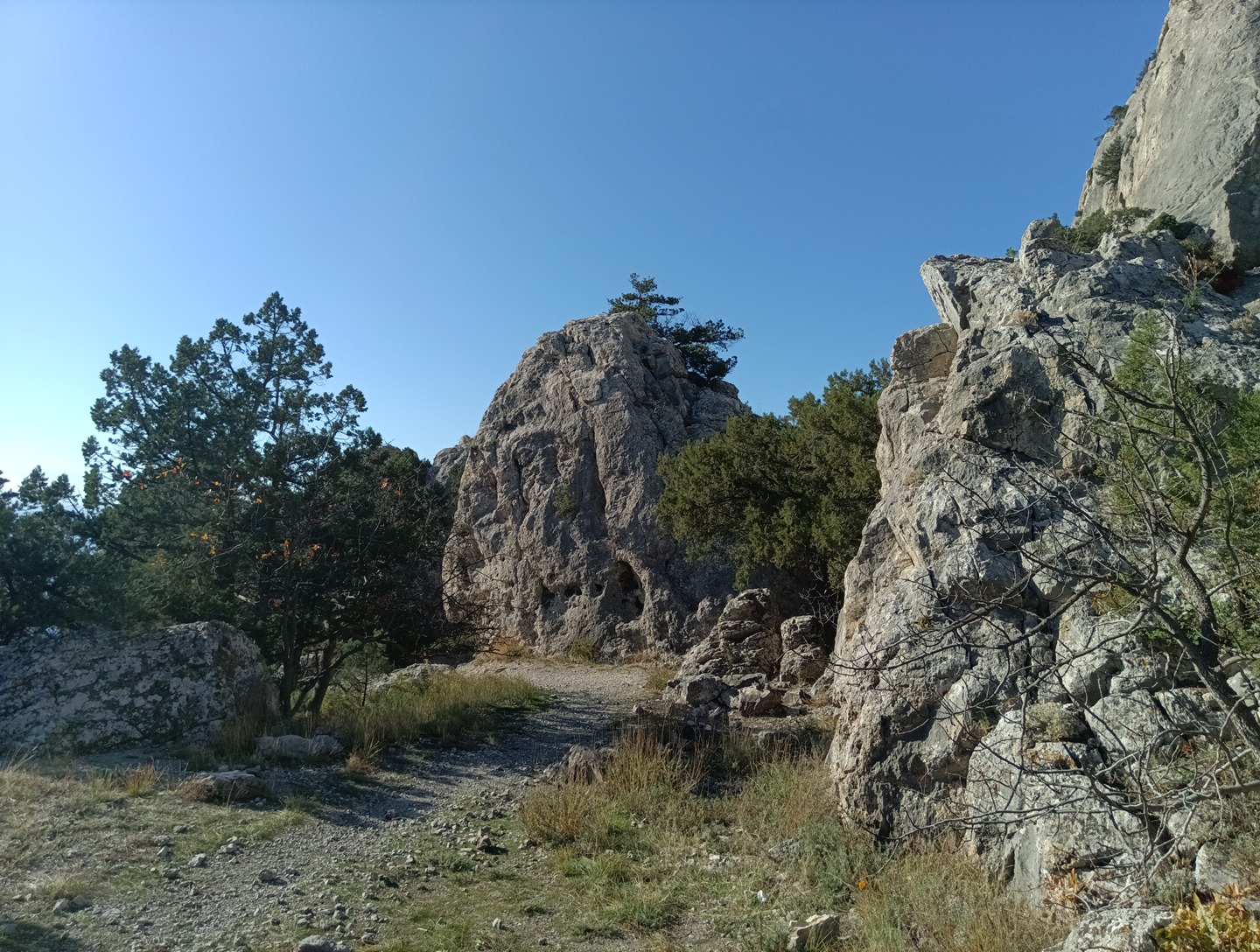 Прогулки по долинам Крыма. Восхождение на гору Сокол. Тренировки по скалолазанию. (30/128)