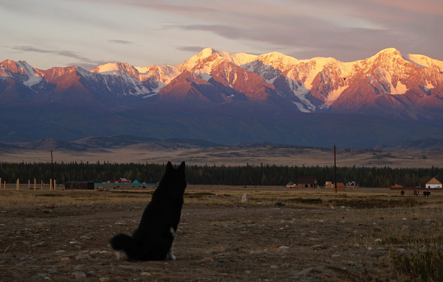 Серебро Алтая, треккинг без рюкзаков к ледникам Актру. (4/36)