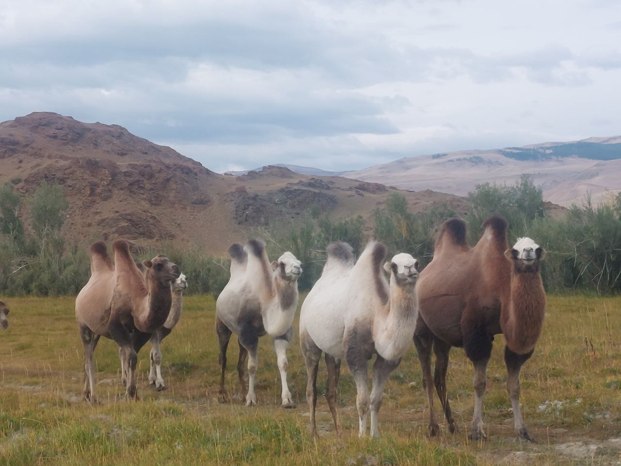 К Чуйским белкам, активный треккинг-тур налегке (26/40)