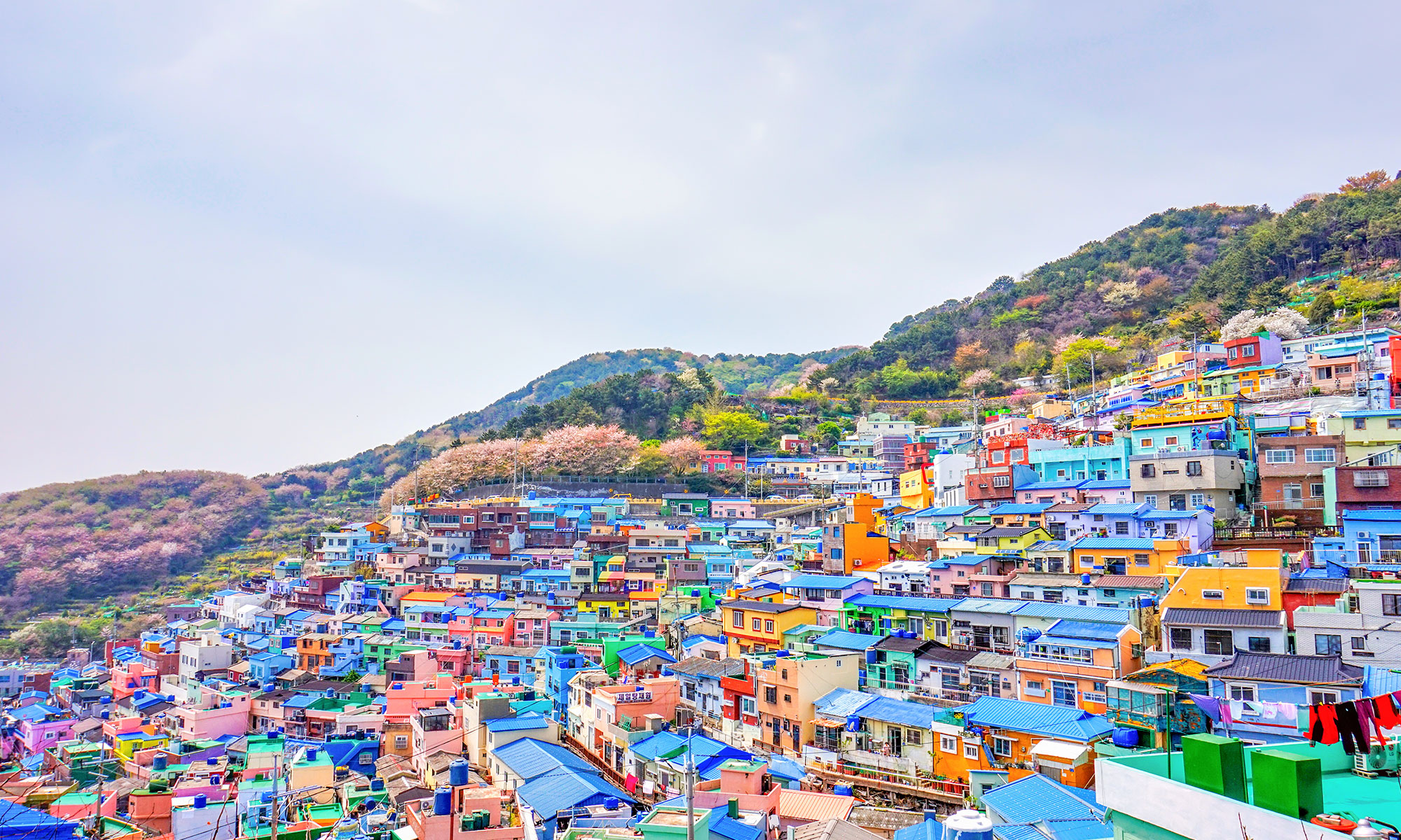 Южная Корея + Вьетнам. Азиатский Микс (5/11)