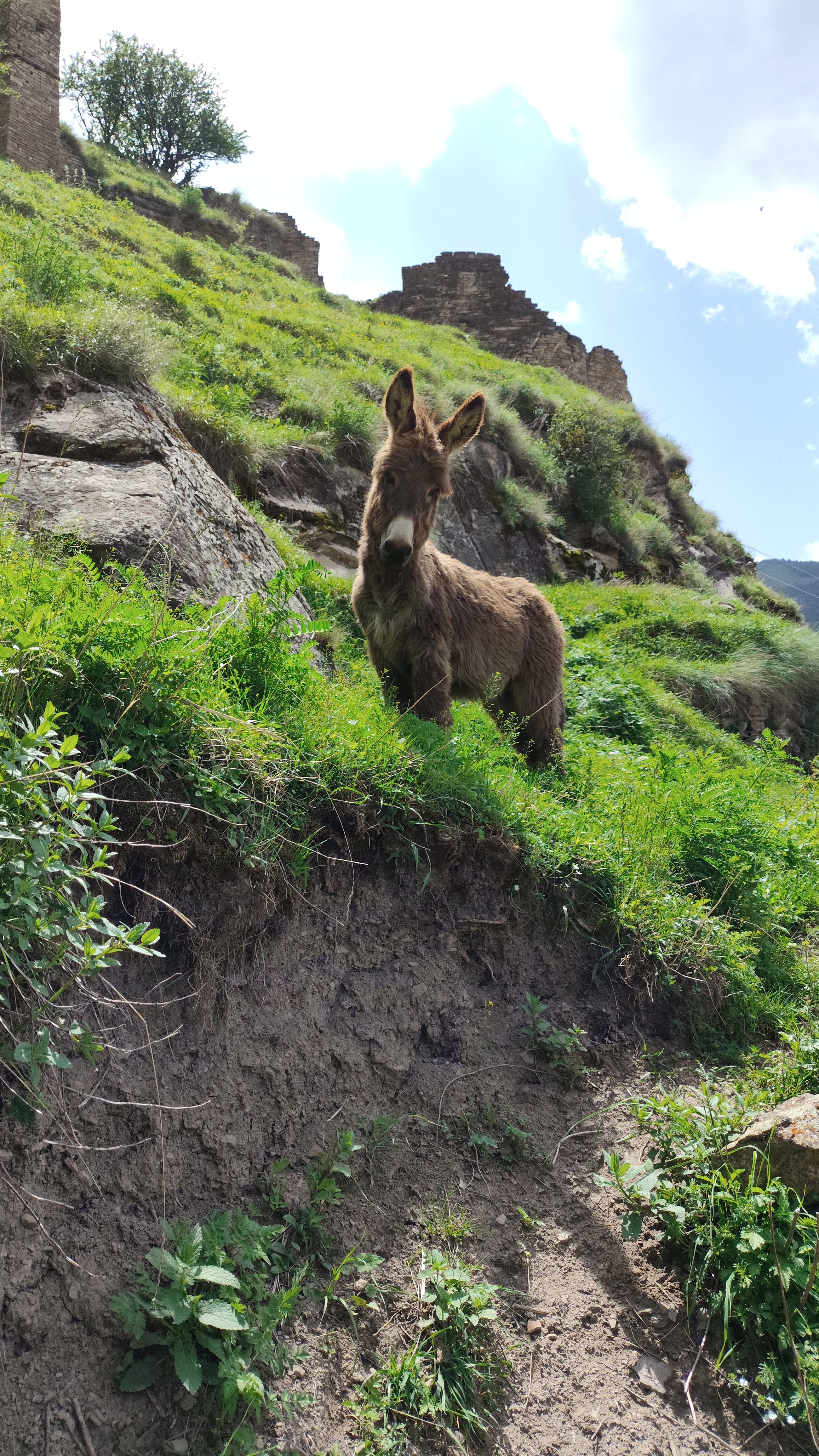Тур Дыхание гор (4 дня 3 ночи). Всё включено. +Катание на катере и сапах (13/38)