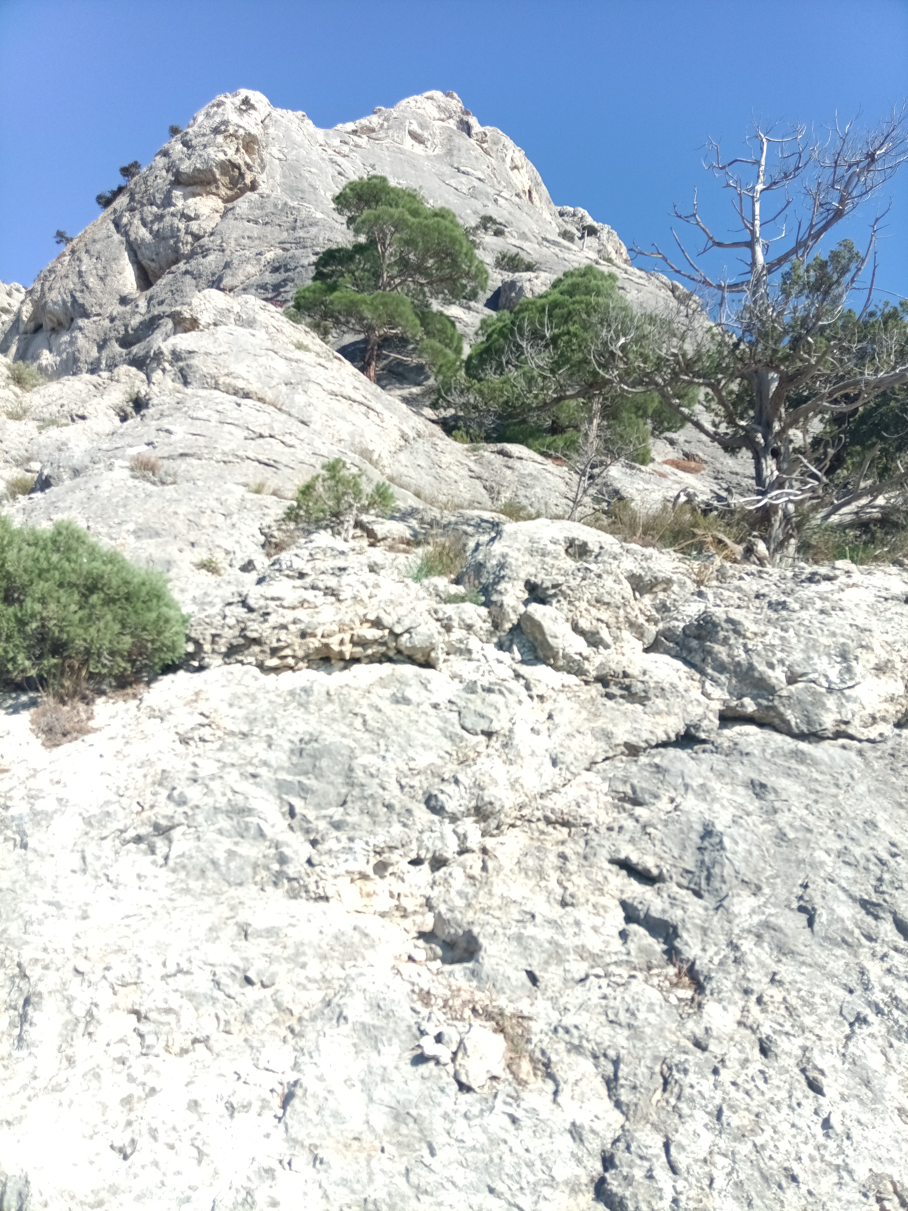 Прогулки по долинам Крыма. Восхождение на гору Сокол. Тренировки по скалолазанию. (20/128)