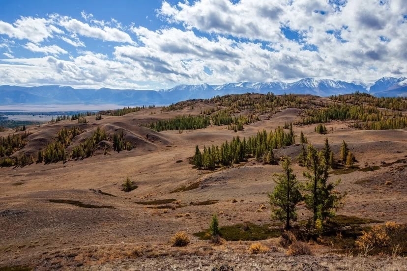Серебро Алтая, треккинг без рюкзаков к ледникам Актру. (20/36)