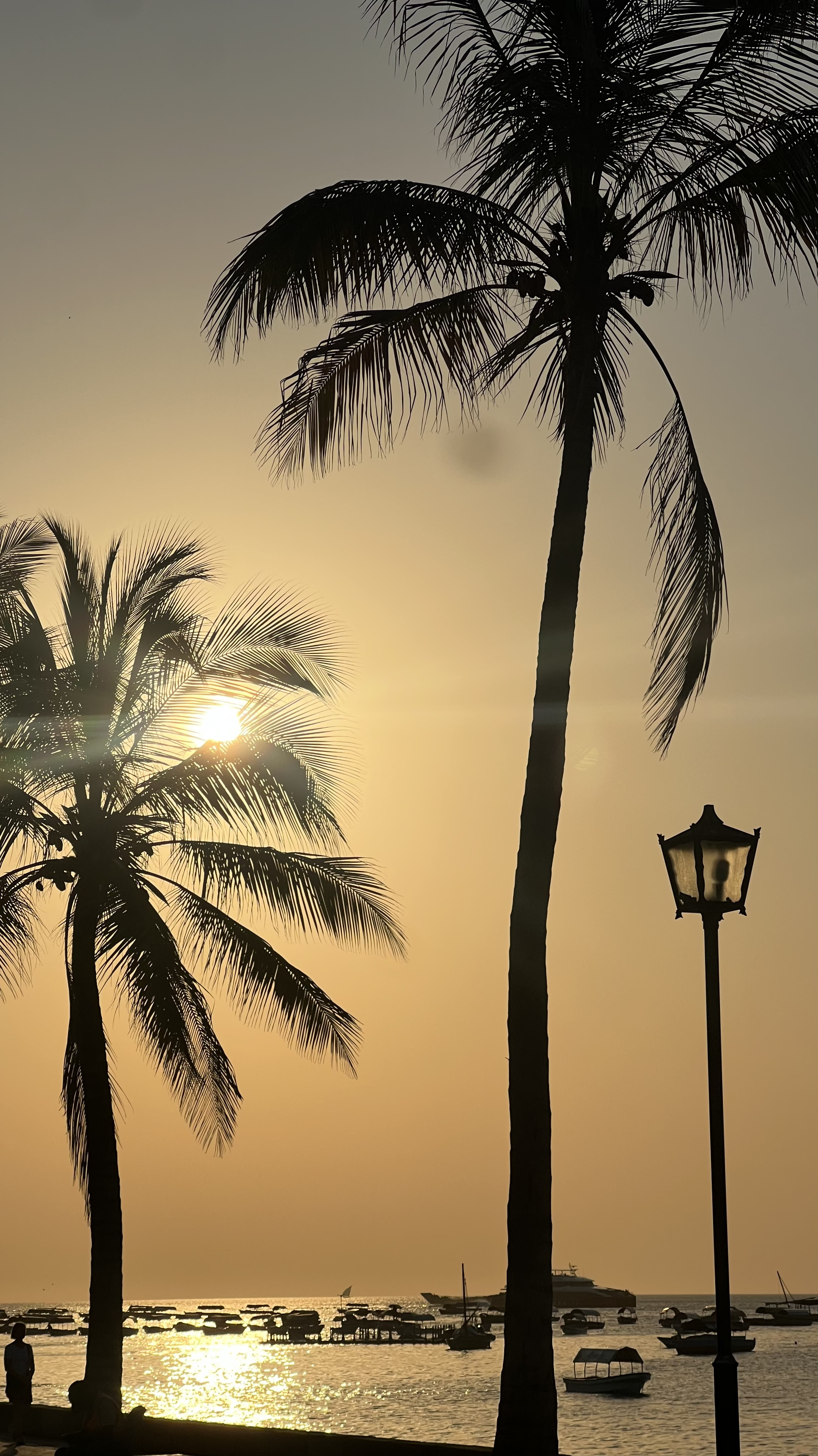 Занзибар: 9 дней моря, приключений и культуры (приватный тур) (13/47)