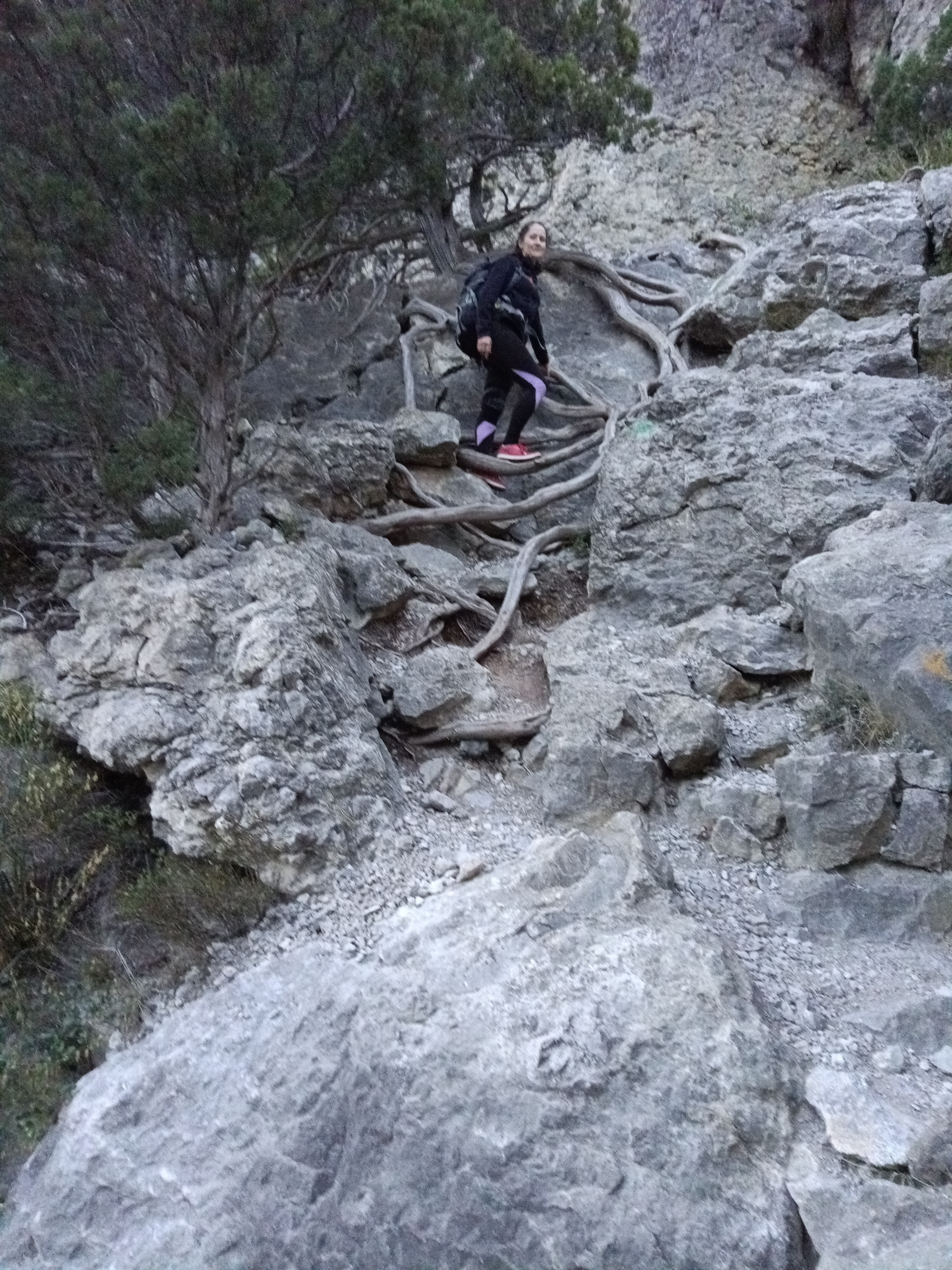 Прогулки по долинам Крыма. Восхождение на гору Сокол. Тренировки по скалолазанию. (27/128)